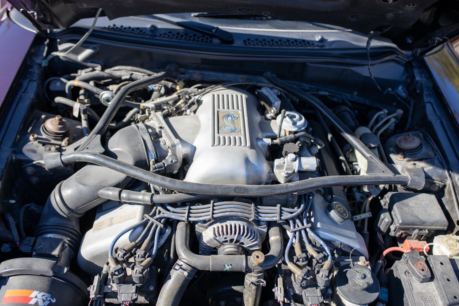 Used 1996 Ford Mustang SVT Cobra | St. Petersburg, FL
