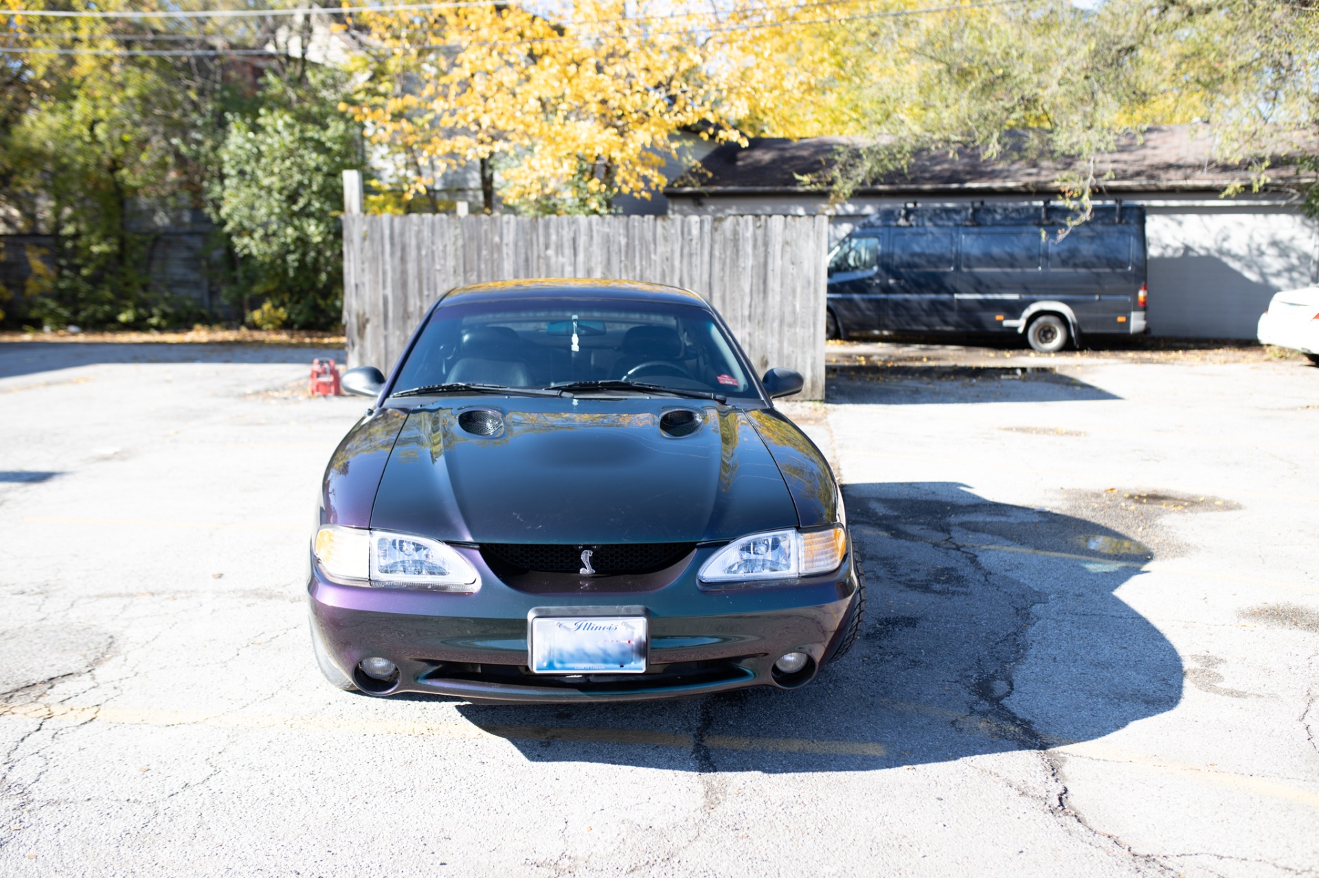 Used 1996 Ford Mustang SVT Cobra | St. Petersburg, FL