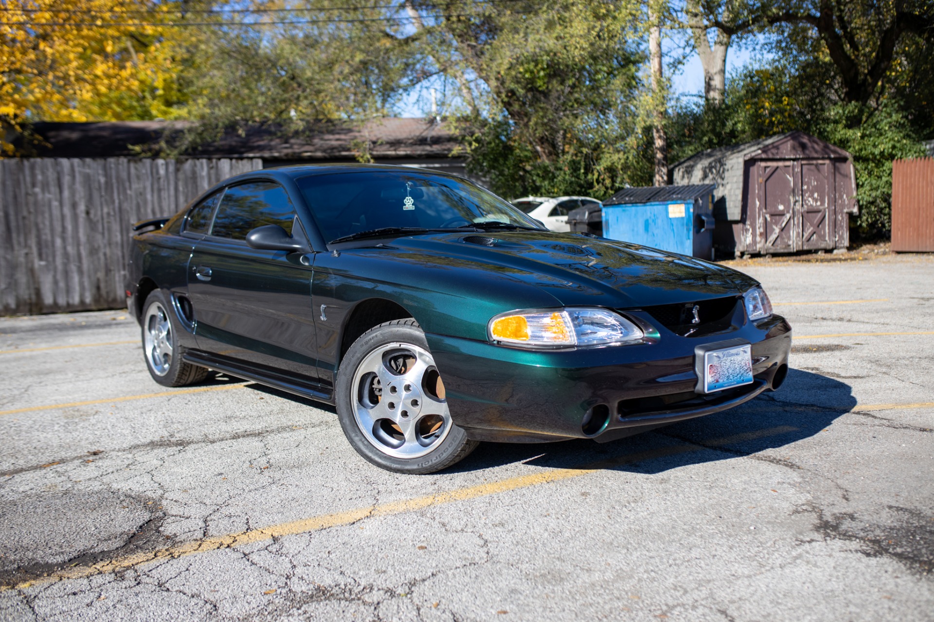Used 1996 Ford Mustang SVT Cobra | St. Petersburg, FL
