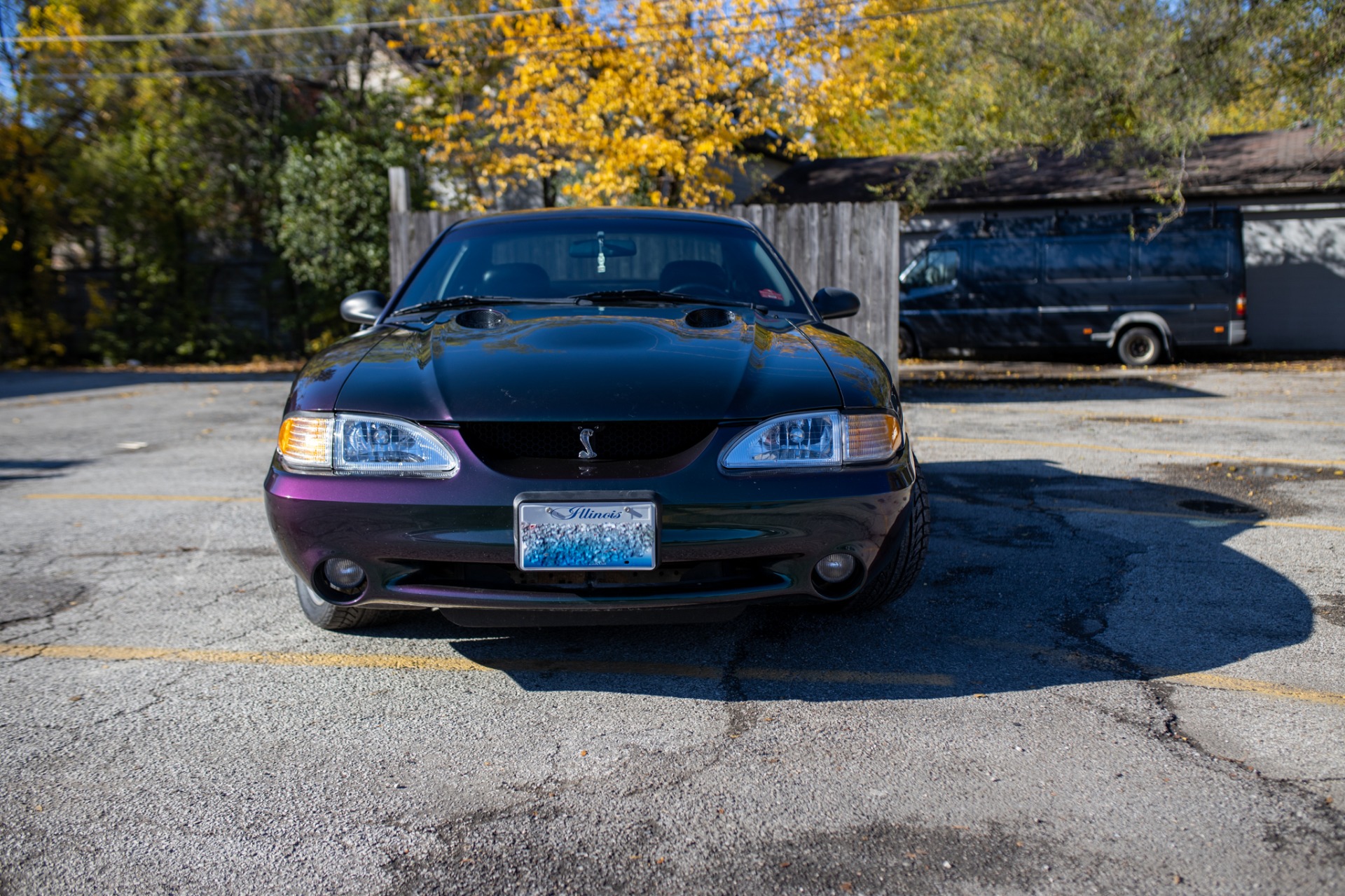 Used 1996 Ford Mustang SVT Cobra | St. Petersburg, FL