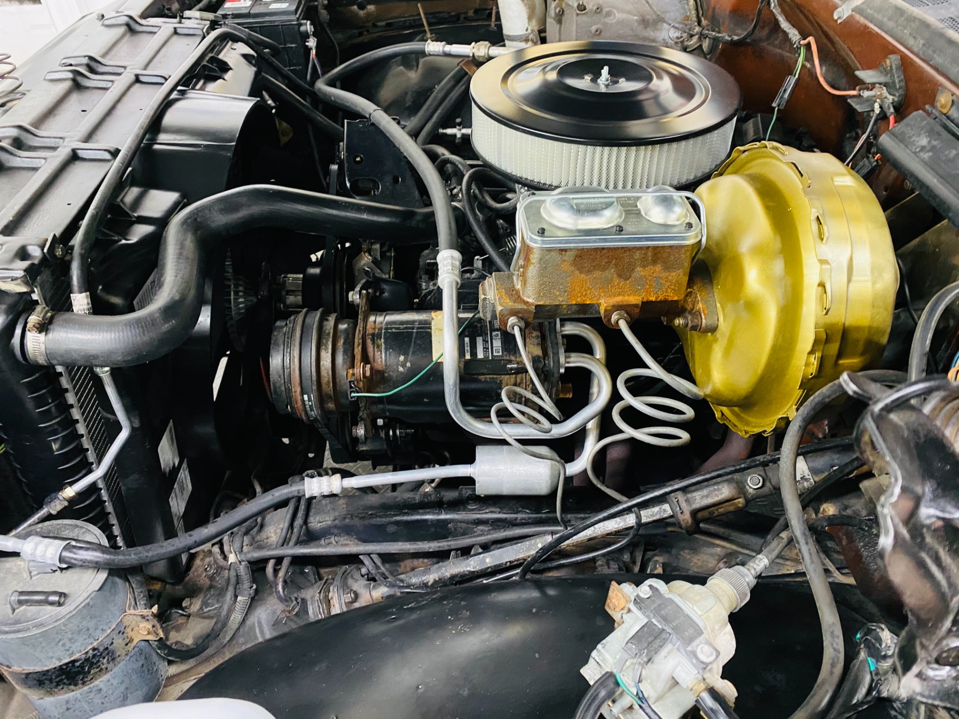 Used 1979 Chevrolet Silverado 10 Arizona truck - SEE VIDEO - | St. Petersburg, FL