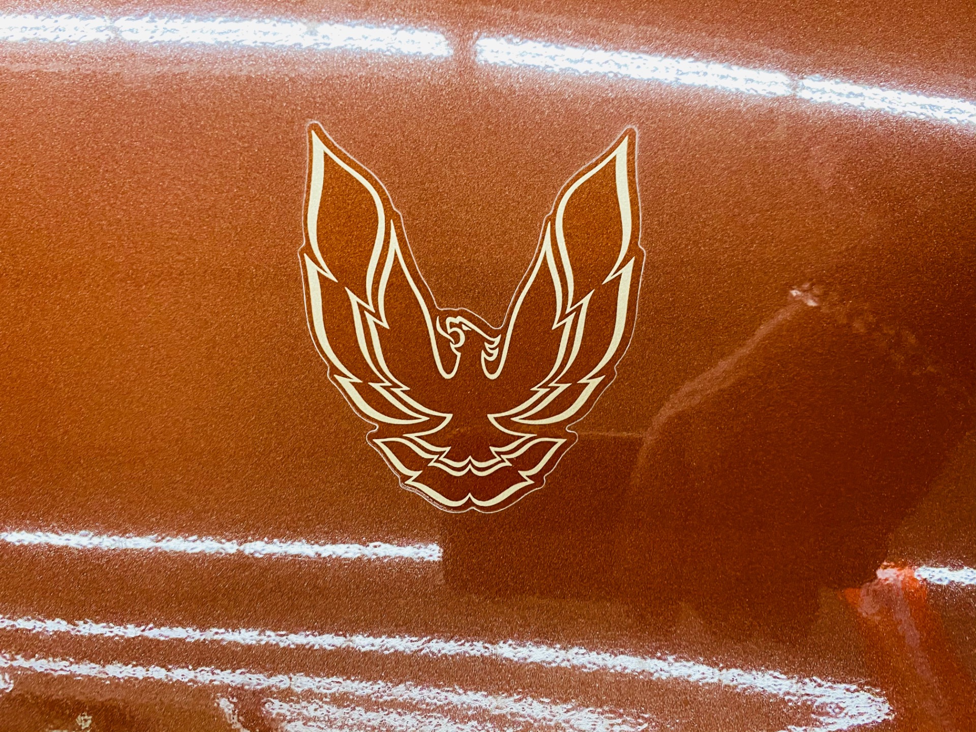 Used 1985 Pontiac Firebird - TRANS AM - 5 SPEED - 8,650 ORIGINAL MILES - SEE VIDEO | St. Petersburg, FL