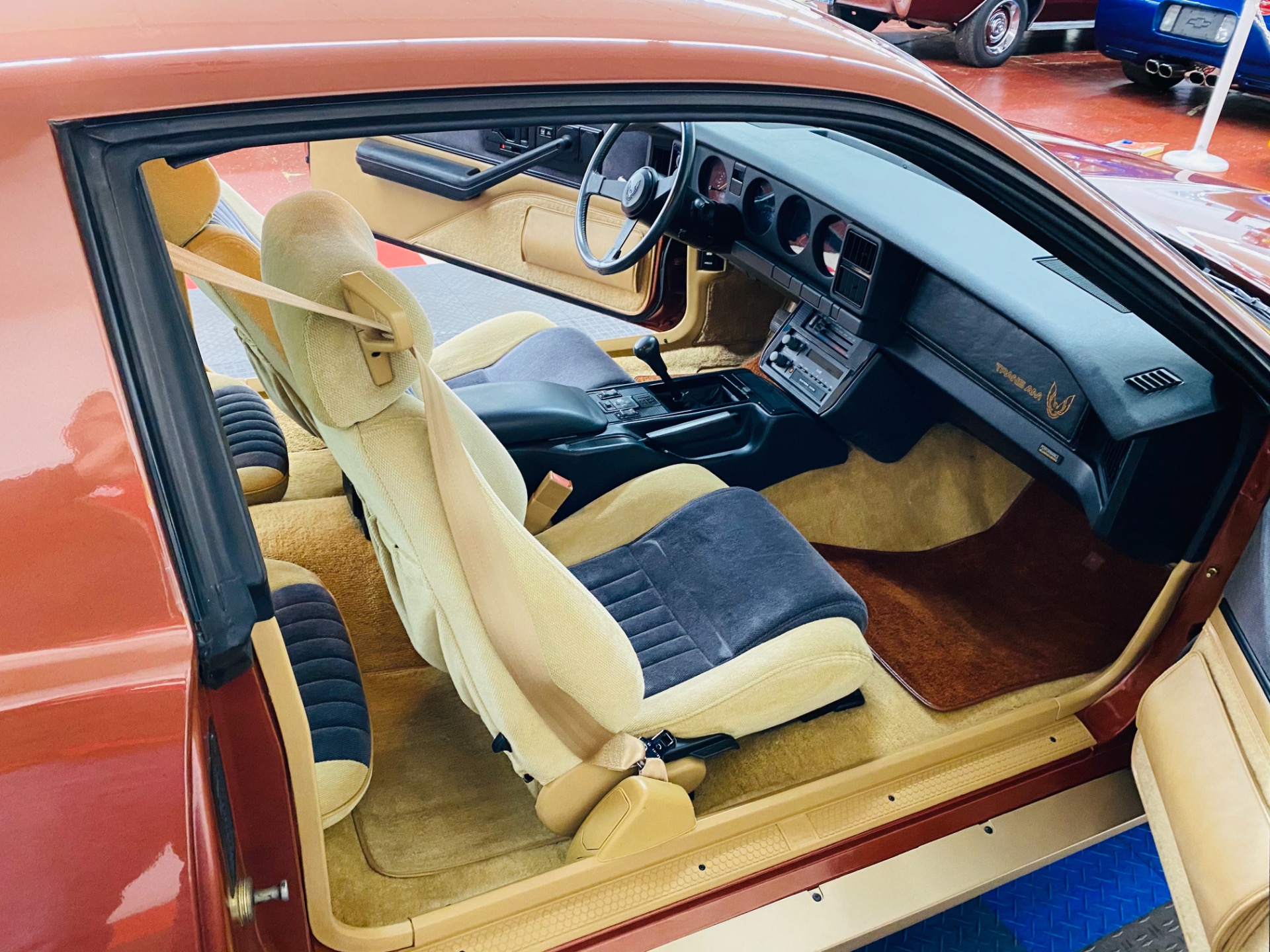 Used 1985 Pontiac Firebird - TRANS AM - 5 SPEED - 8,650 ORIGINAL MILES - SEE VIDEO | St. Petersburg, FL