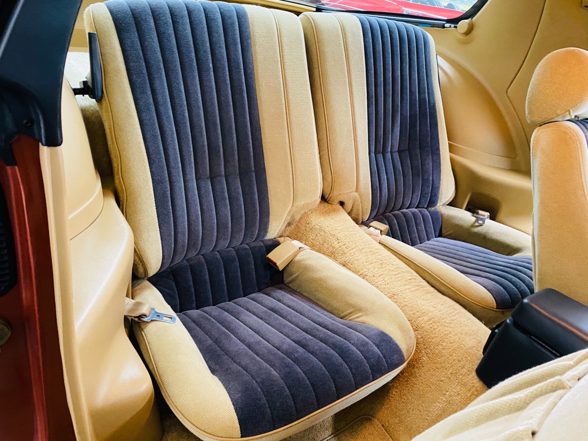 Used 1985 Pontiac Firebird - TRANS AM - 5 SPEED - 8,650 ORIGINAL MILES - SEE VIDEO | St. Petersburg, FL