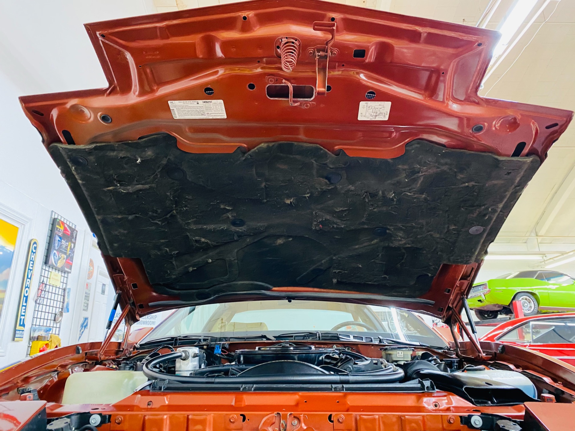 Used 1985 Pontiac Firebird - TRANS AM - 5 SPEED - 8,650 ORIGINAL MILES - SEE VIDEO | St. Petersburg, FL