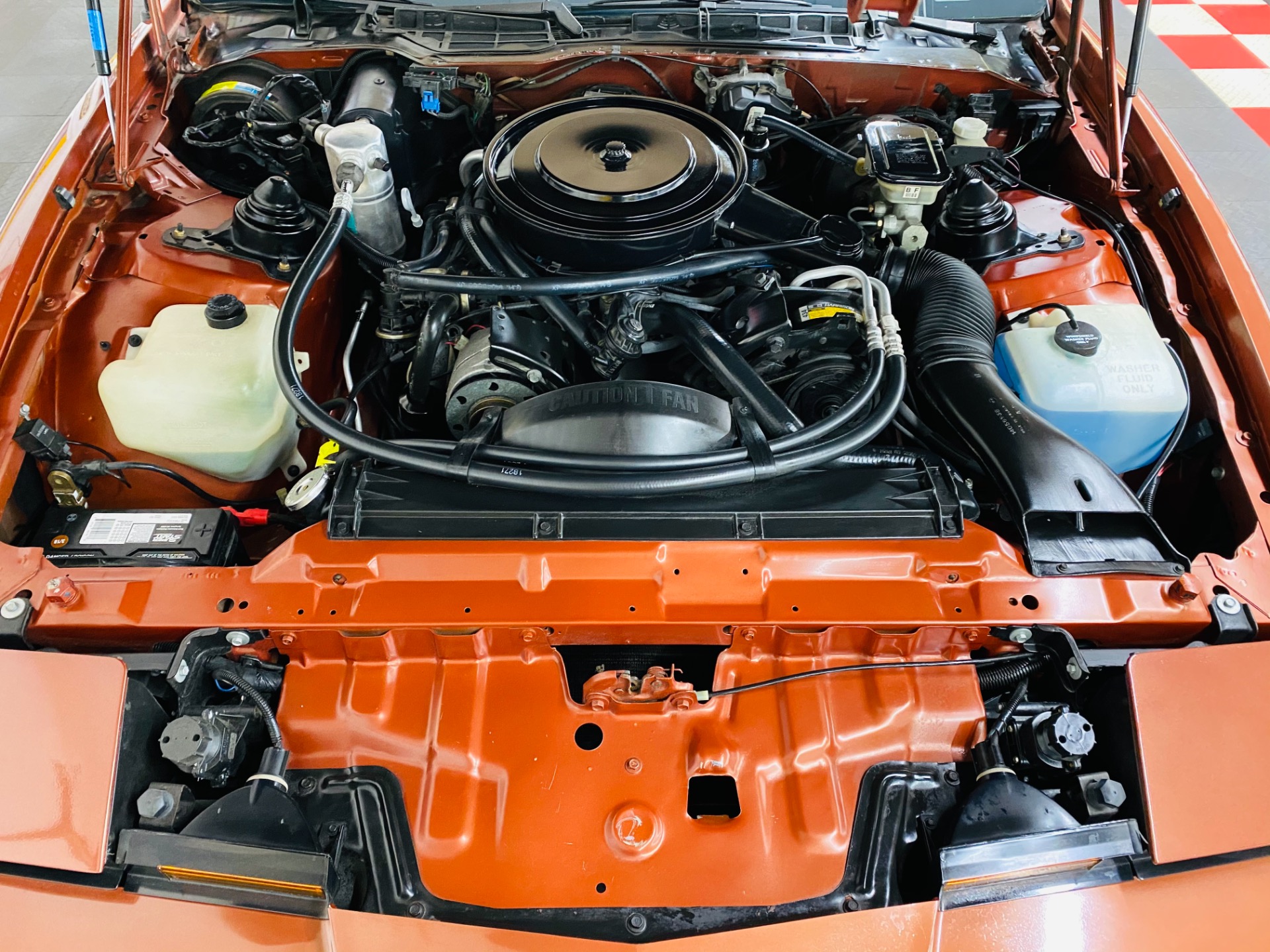 Used 1985 Pontiac Firebird - TRANS AM - 5 SPEED - 8,650 ORIGINAL MILES - SEE VIDEO | St. Petersburg, FL