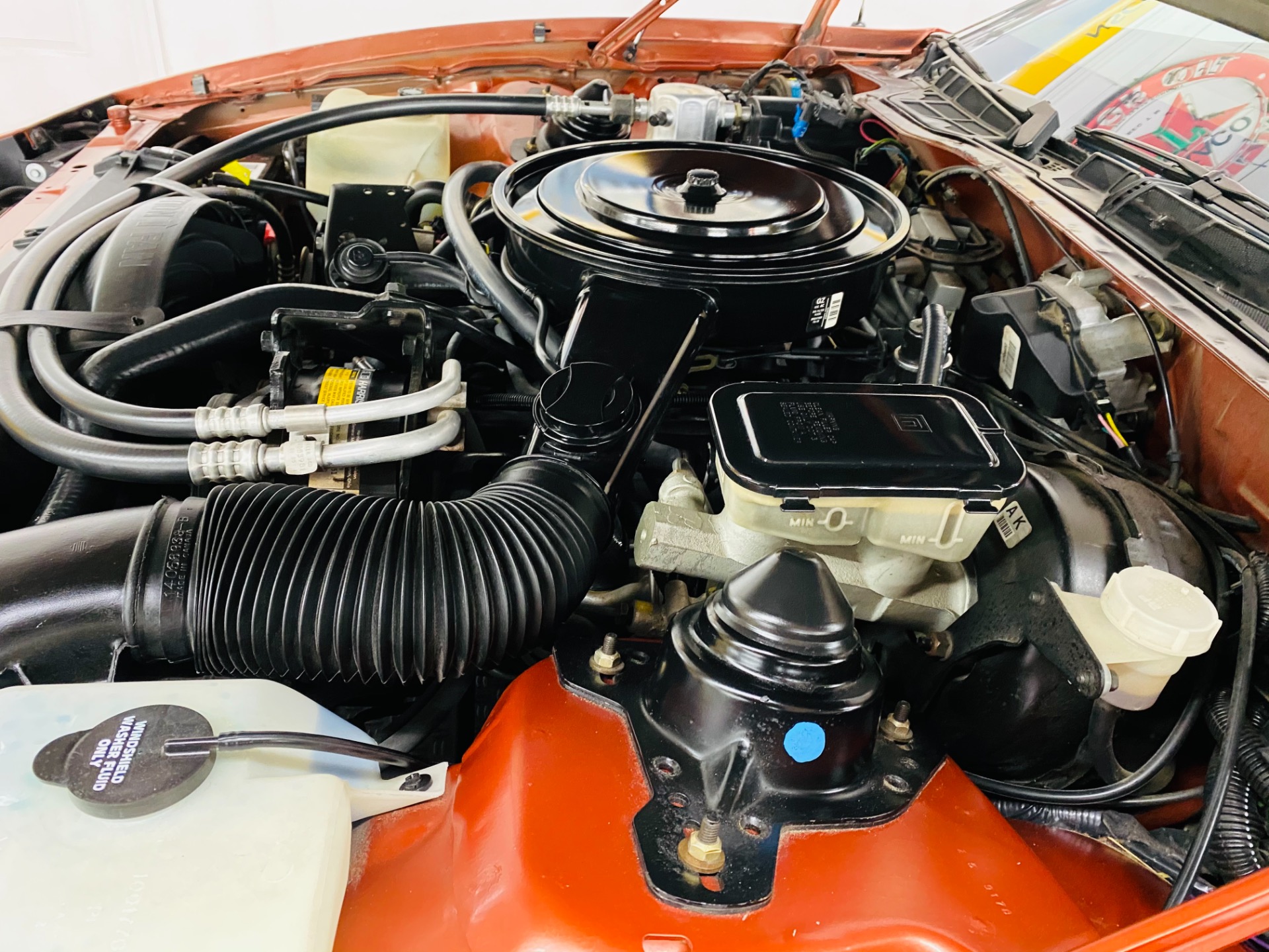 Used 1985 Pontiac Firebird - TRANS AM - 5 SPEED - 8,650 ORIGINAL MILES - SEE VIDEO | St. Petersburg, FL