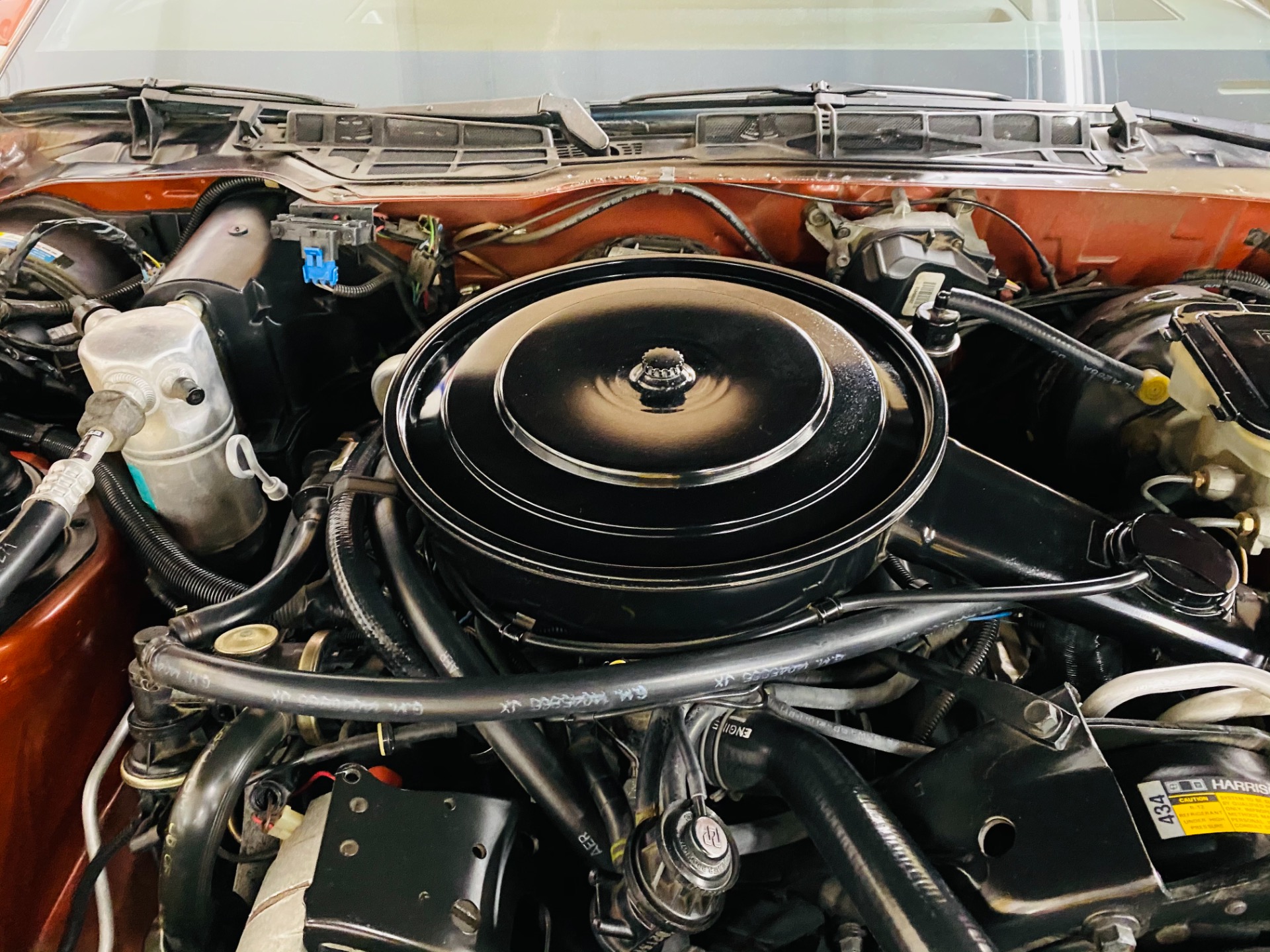 Used 1985 Pontiac Firebird - TRANS AM - 5 SPEED - 8,650 ORIGINAL MILES - SEE VIDEO | St. Petersburg, FL