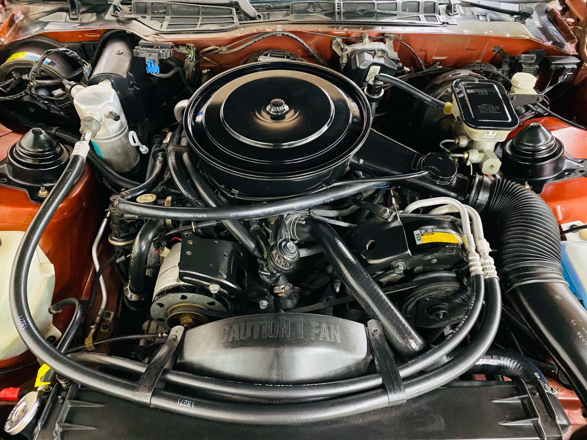 Used 1985 Pontiac Firebird - TRANS AM - 5 SPEED - 8,650 ORIGINAL MILES - SEE VIDEO | St. Petersburg, FL