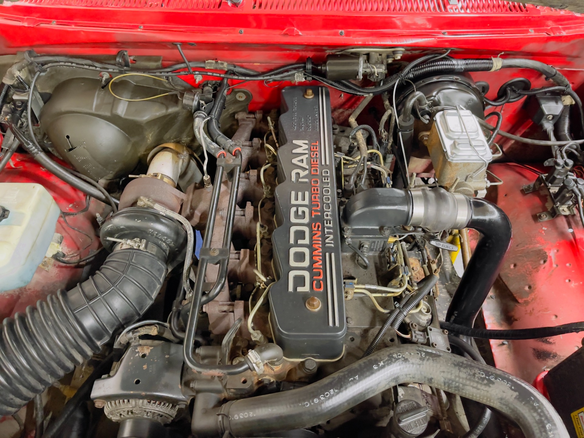 Used 1992 Dodge RAM 250 - SEE VIDEO - | St. Petersburg, FL