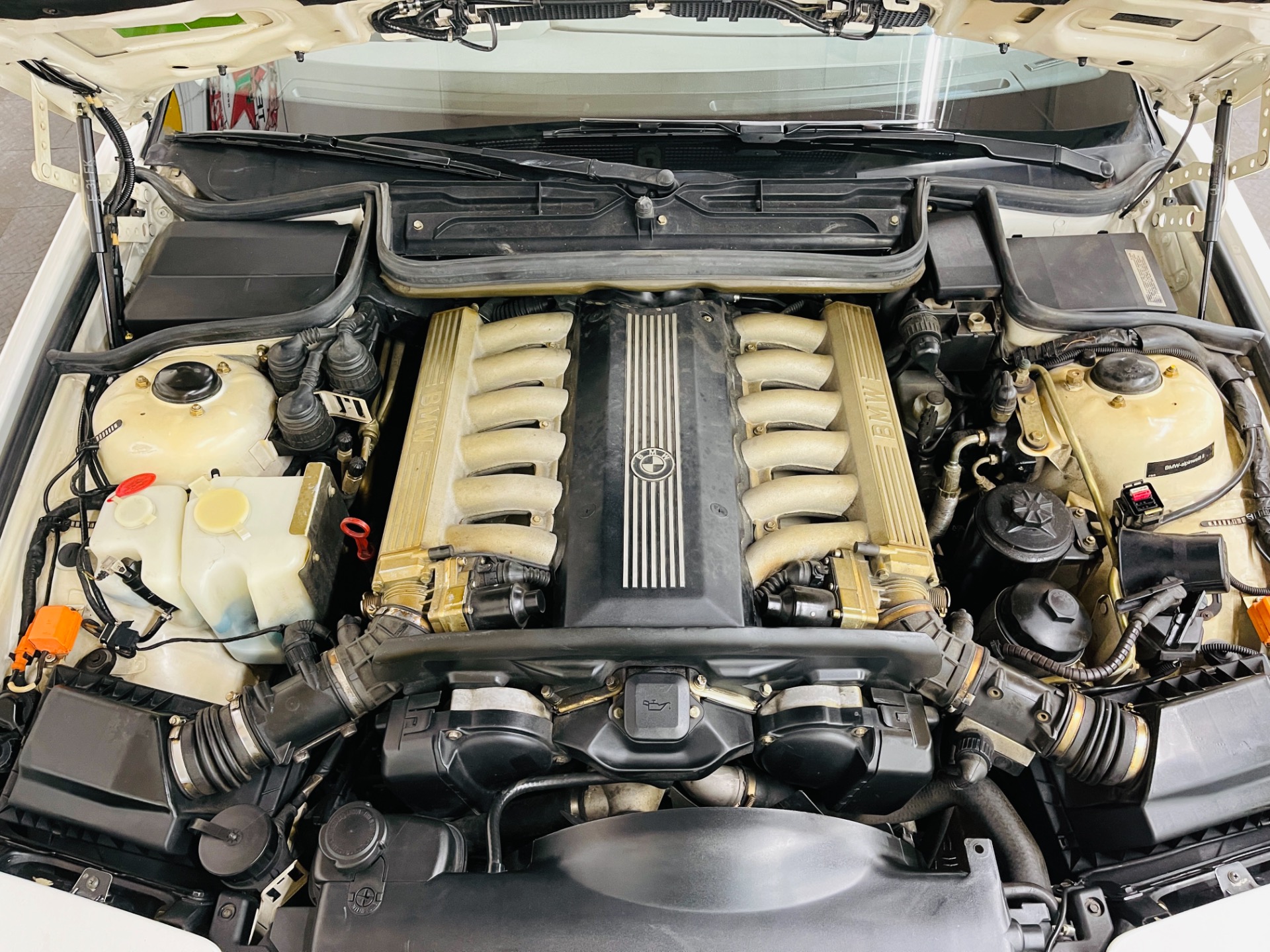 Used 1993 BMW 850 CI -VERY CLEAN CAR - SUPER LOW MILES - SEE VIDEO - | St. Petersburg, FL
