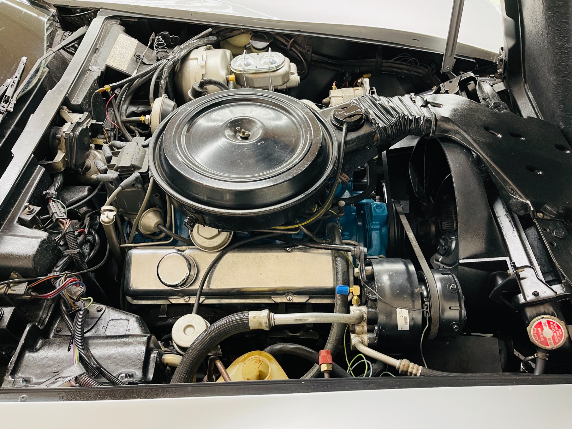 Used 1978 Chevrolet Corvette - 25TH ANNIVERSARY - NEW PAINT - DRIVES GREAT - | St. Petersburg, FL