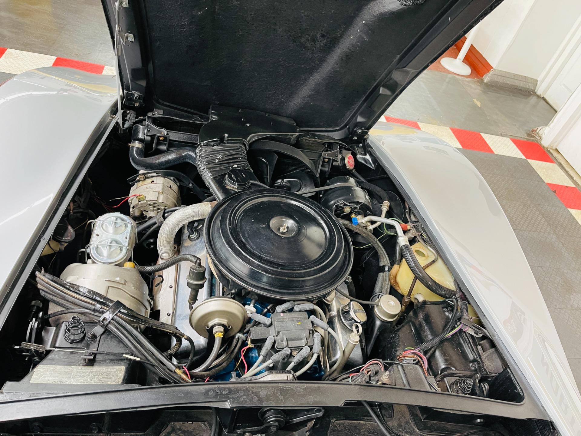 Used 1978 Chevrolet Corvette - 25TH ANNIVERSARY - NEW PAINT - DRIVES GREAT - | St. Petersburg, FL