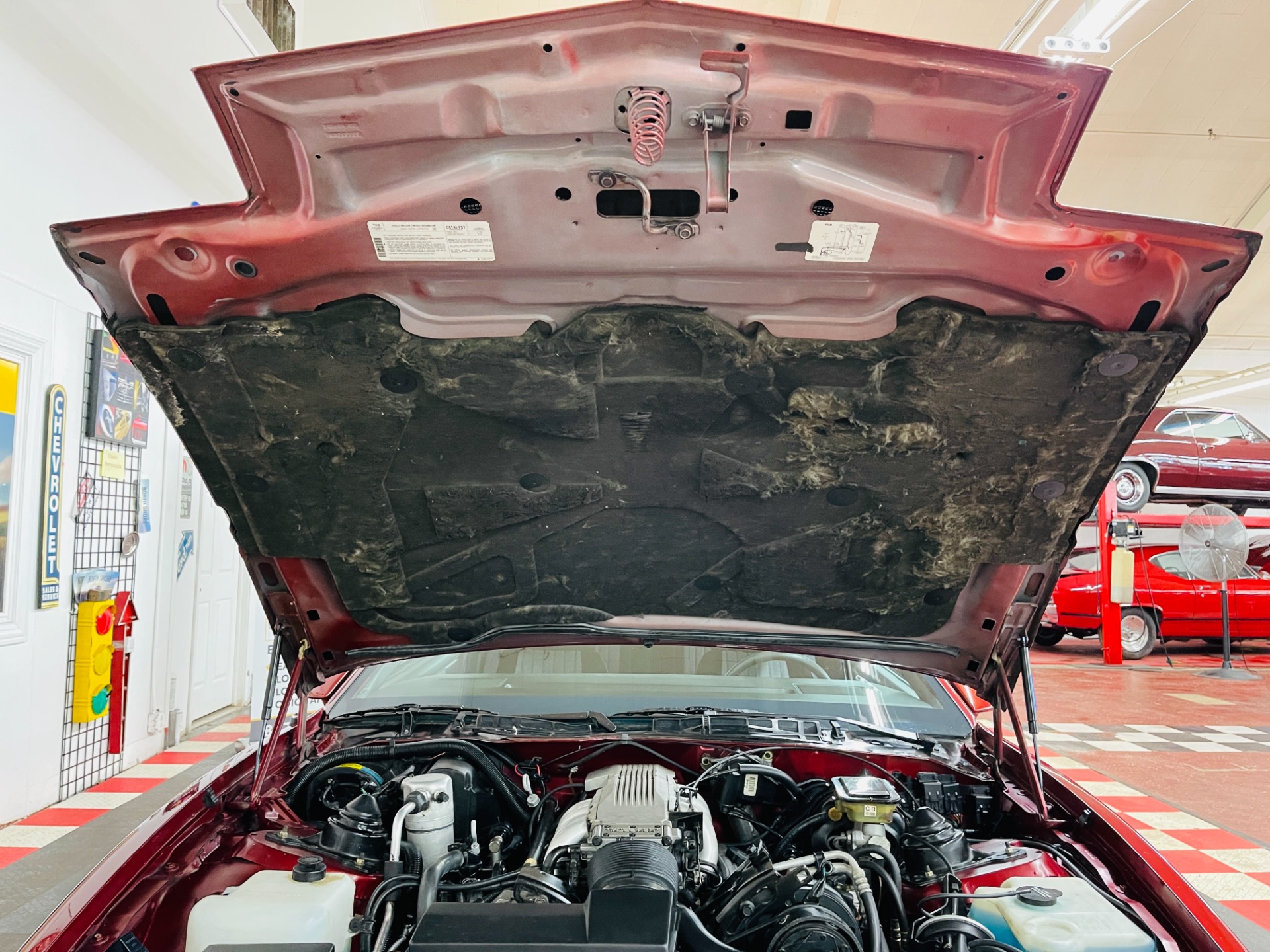 Used 1986 PONTIAC FIREBIRD TRANS AM - SEE VIDEO | St. Petersburg, FL