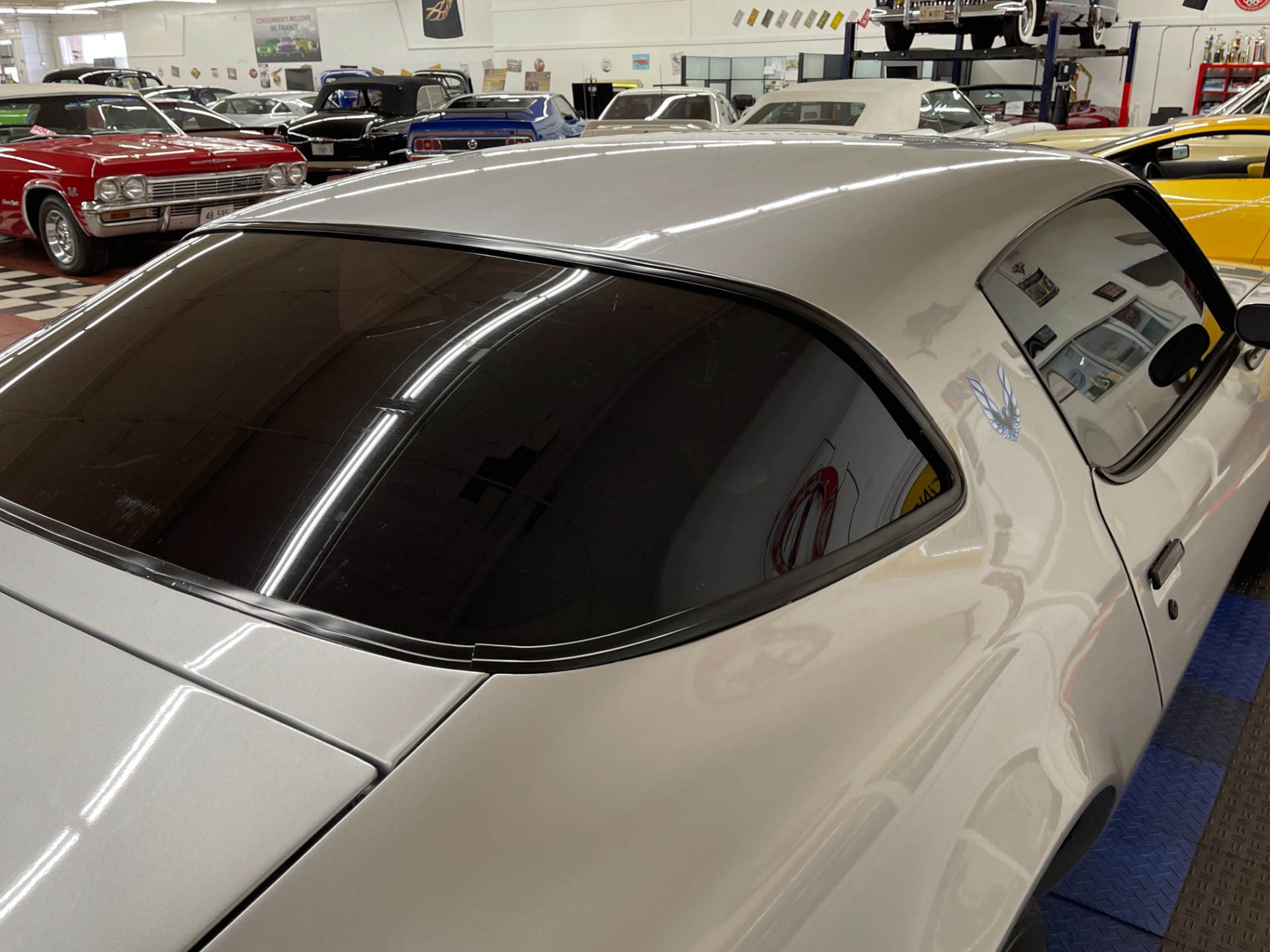Used 1981 Pontiac Firebird - CLEAN BODY - RECENT PAINT - SEE VIDEO - | St. Petersburg, FL