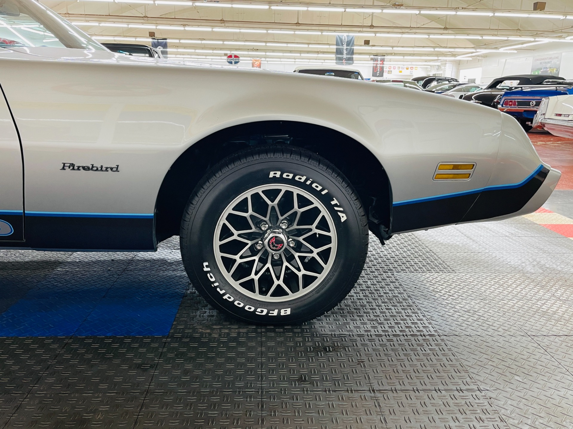 Used 1981 Pontiac Firebird - CLEAN BODY - RECENT PAINT - SEE VIDEO - | St. Petersburg, FL