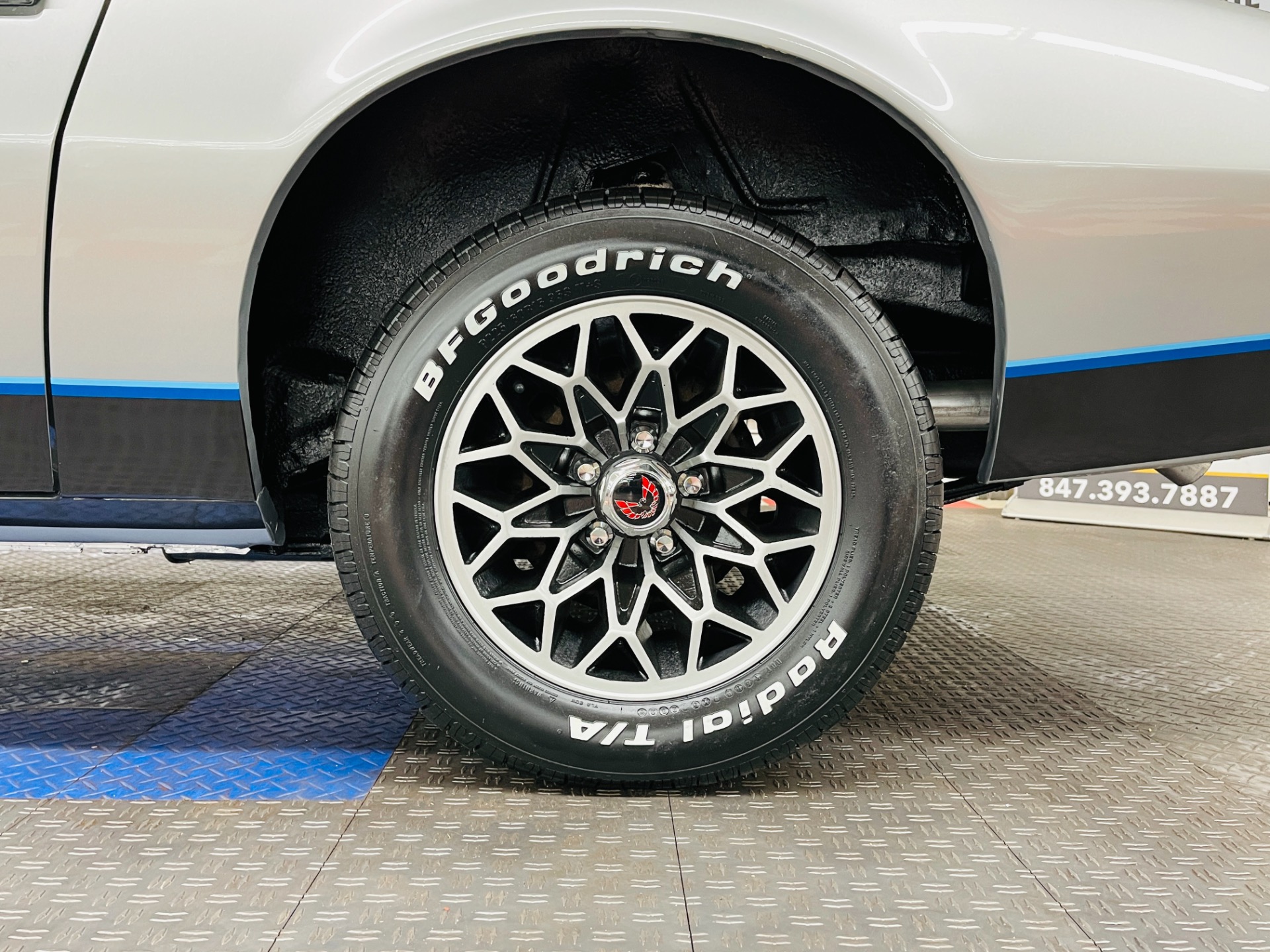 Used 1981 Pontiac Firebird - CLEAN BODY - RECENT PAINT - SEE VIDEO - | St. Petersburg, FL