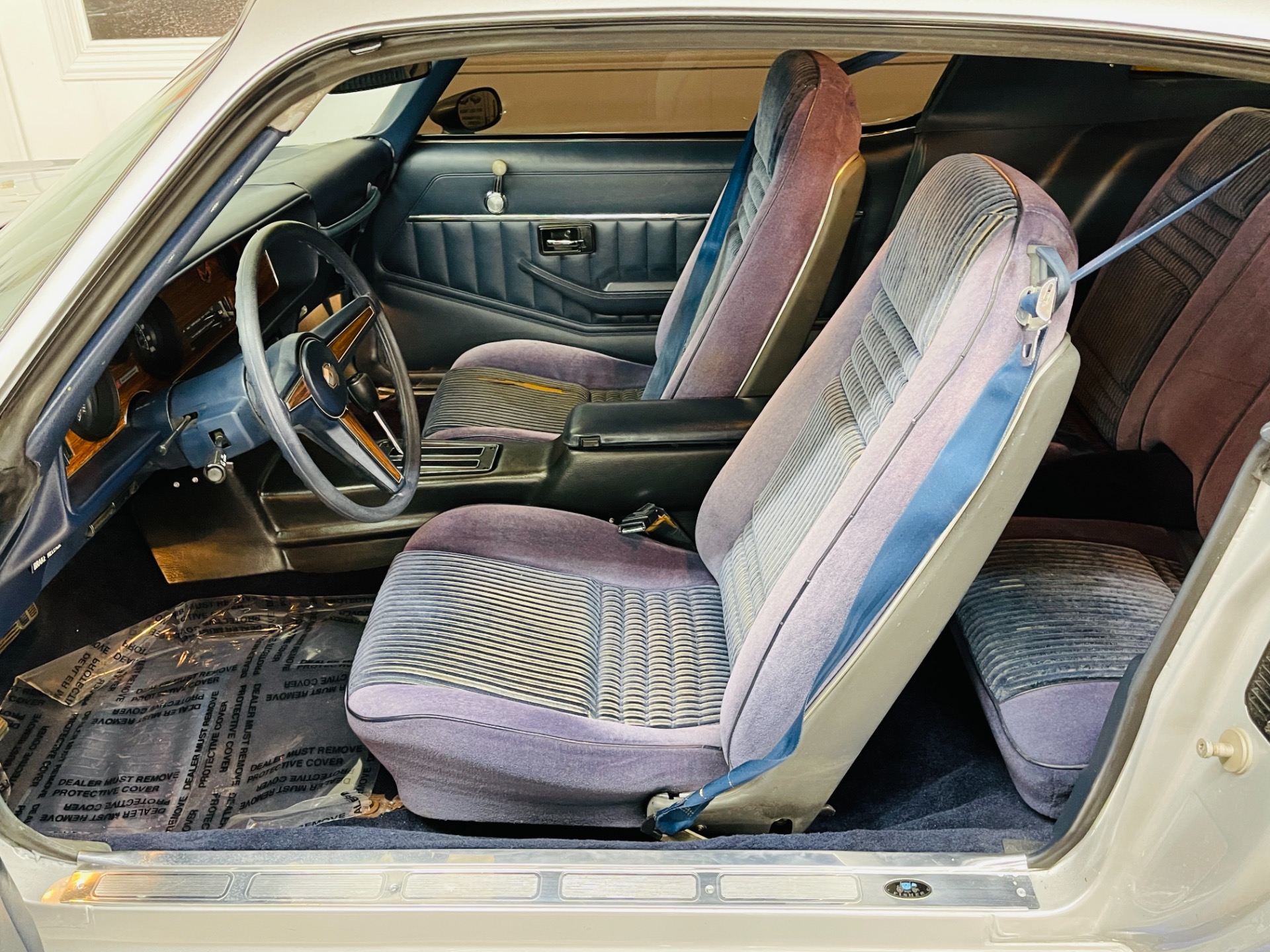 Used 1981 Pontiac Firebird - CLEAN BODY - RECENT PAINT - SEE VIDEO - | St. Petersburg, FL