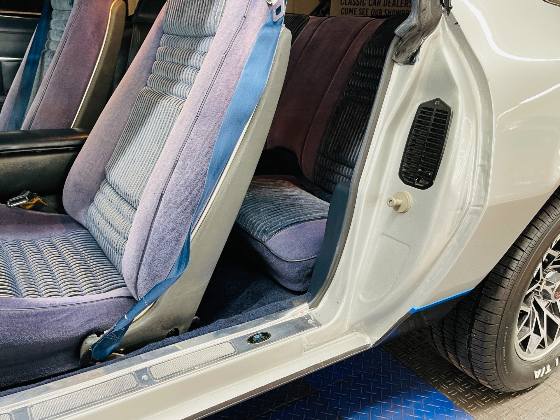 Used 1981 Pontiac Firebird - CLEAN BODY - RECENT PAINT - SEE VIDEO - | St. Petersburg, FL