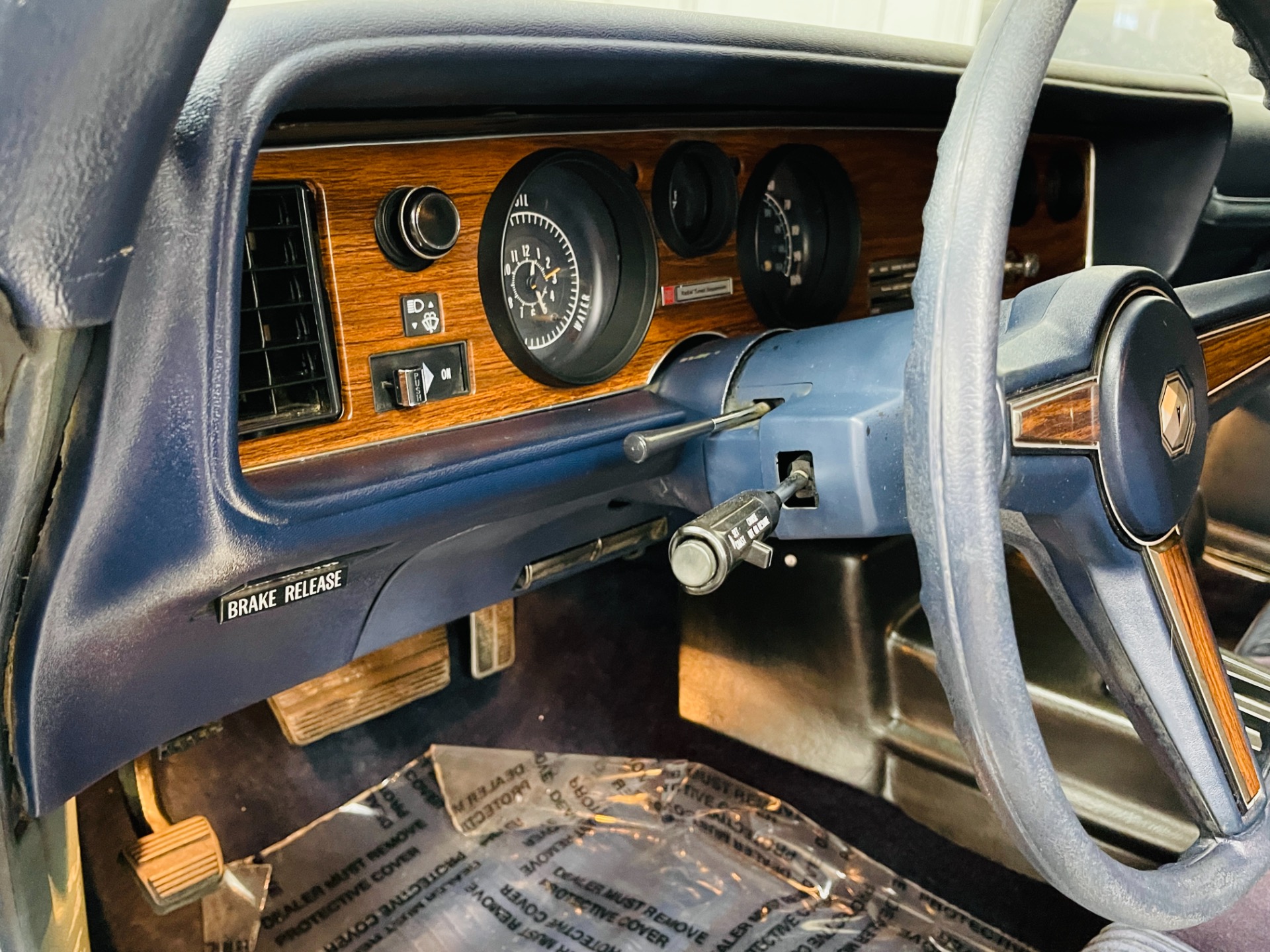 Used 1981 Pontiac Firebird - CLEAN BODY - RECENT PAINT - SEE VIDEO - | St. Petersburg, FL