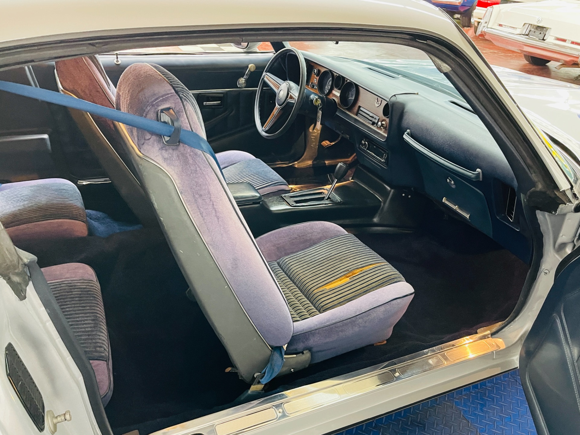Used 1981 Pontiac Firebird - CLEAN BODY - RECENT PAINT - SEE VIDEO - | St. Petersburg, FL