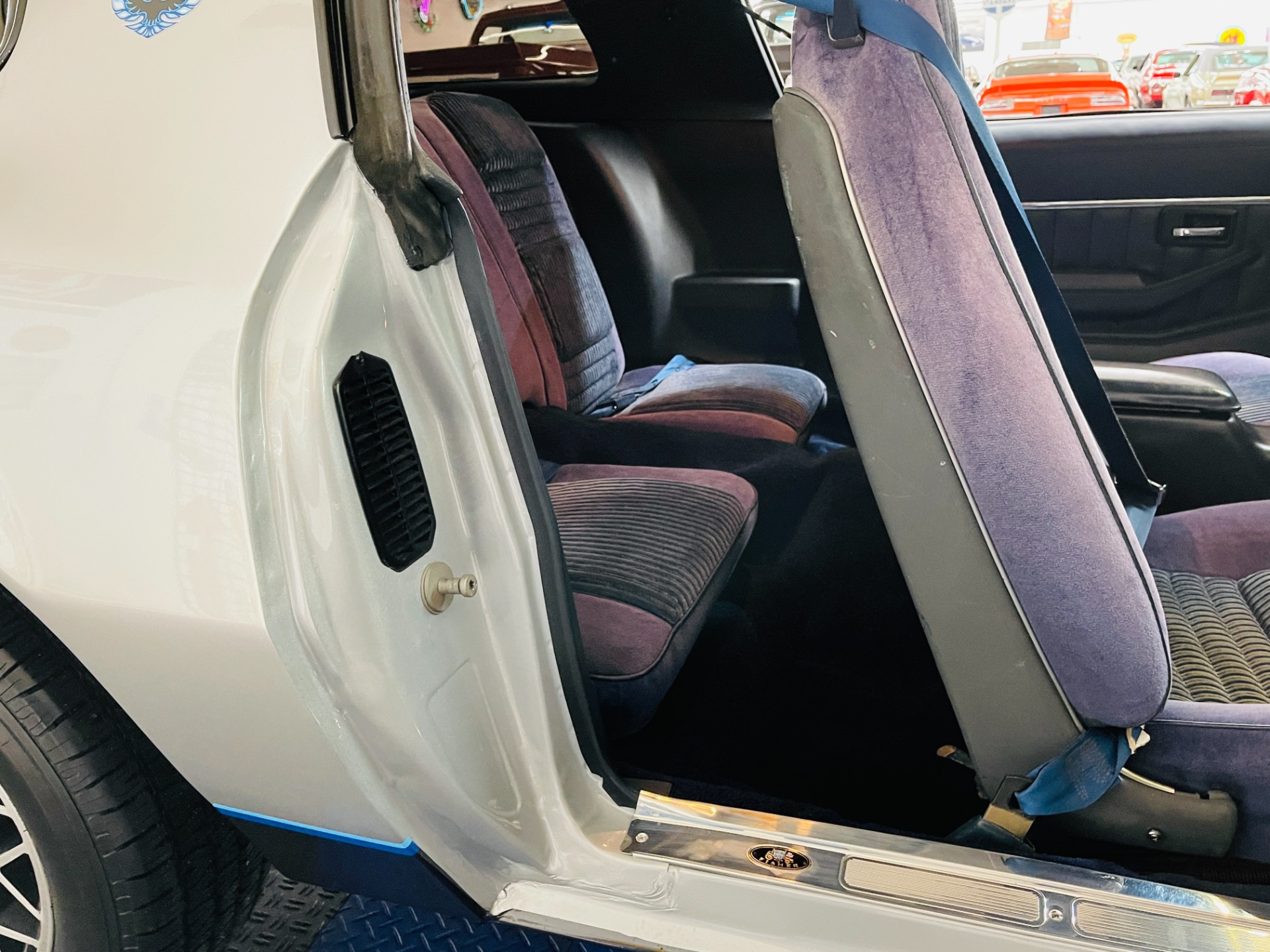 Used 1981 Pontiac Firebird - CLEAN BODY - RECENT PAINT - SEE VIDEO - | St. Petersburg, FL