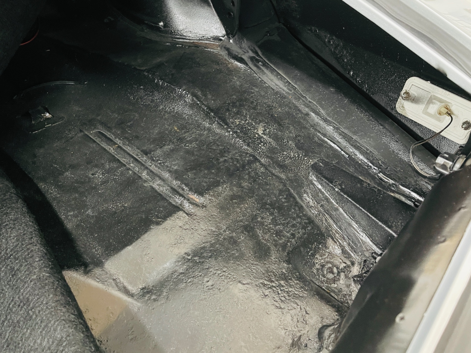 Used 1981 Pontiac Firebird - CLEAN BODY - RECENT PAINT - SEE VIDEO - | St. Petersburg, FL