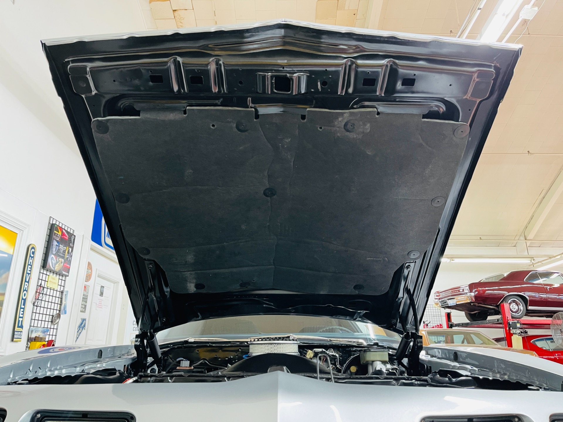 Used 1981 Pontiac Firebird - CLEAN BODY - RECENT PAINT - SEE VIDEO - | St. Petersburg, FL
