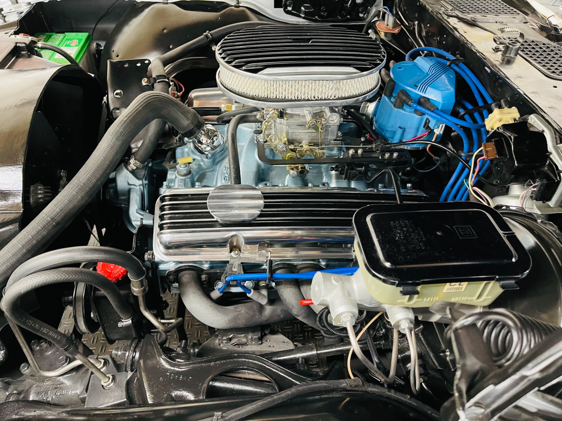 Used 1981 Pontiac Firebird - CLEAN BODY - RECENT PAINT - SEE VIDEO - | St. Petersburg, FL