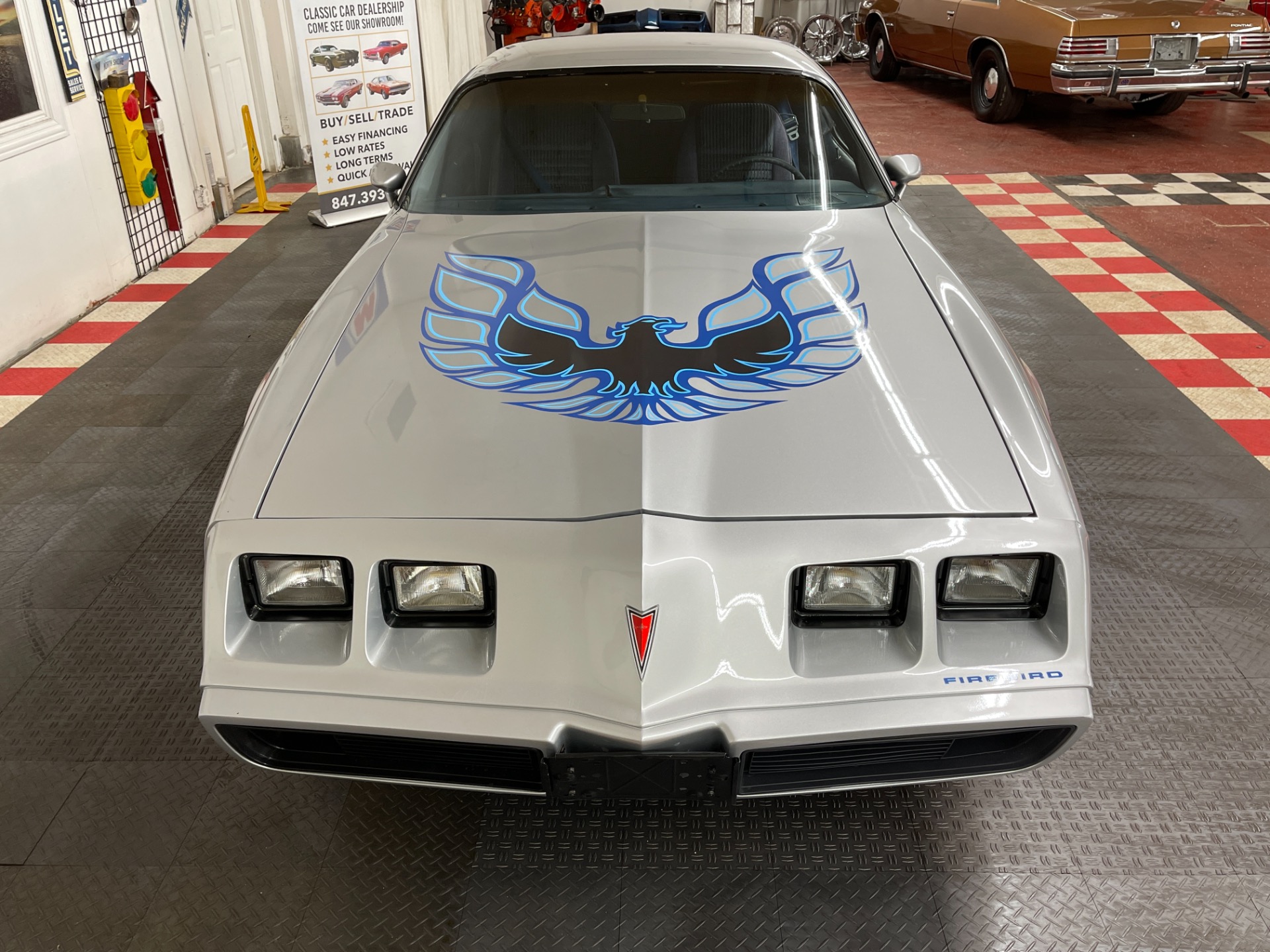 Used 1981 Pontiac Firebird - CLEAN BODY - RECENT PAINT - SEE VIDEO - | St. Petersburg, FL