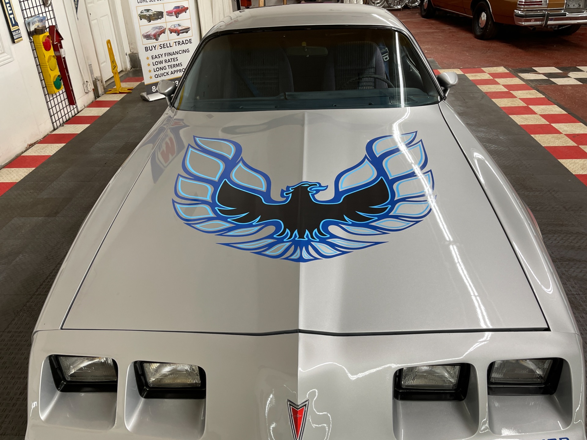 Used 1981 Pontiac Firebird - CLEAN BODY - RECENT PAINT - SEE VIDEO - | St. Petersburg, FL