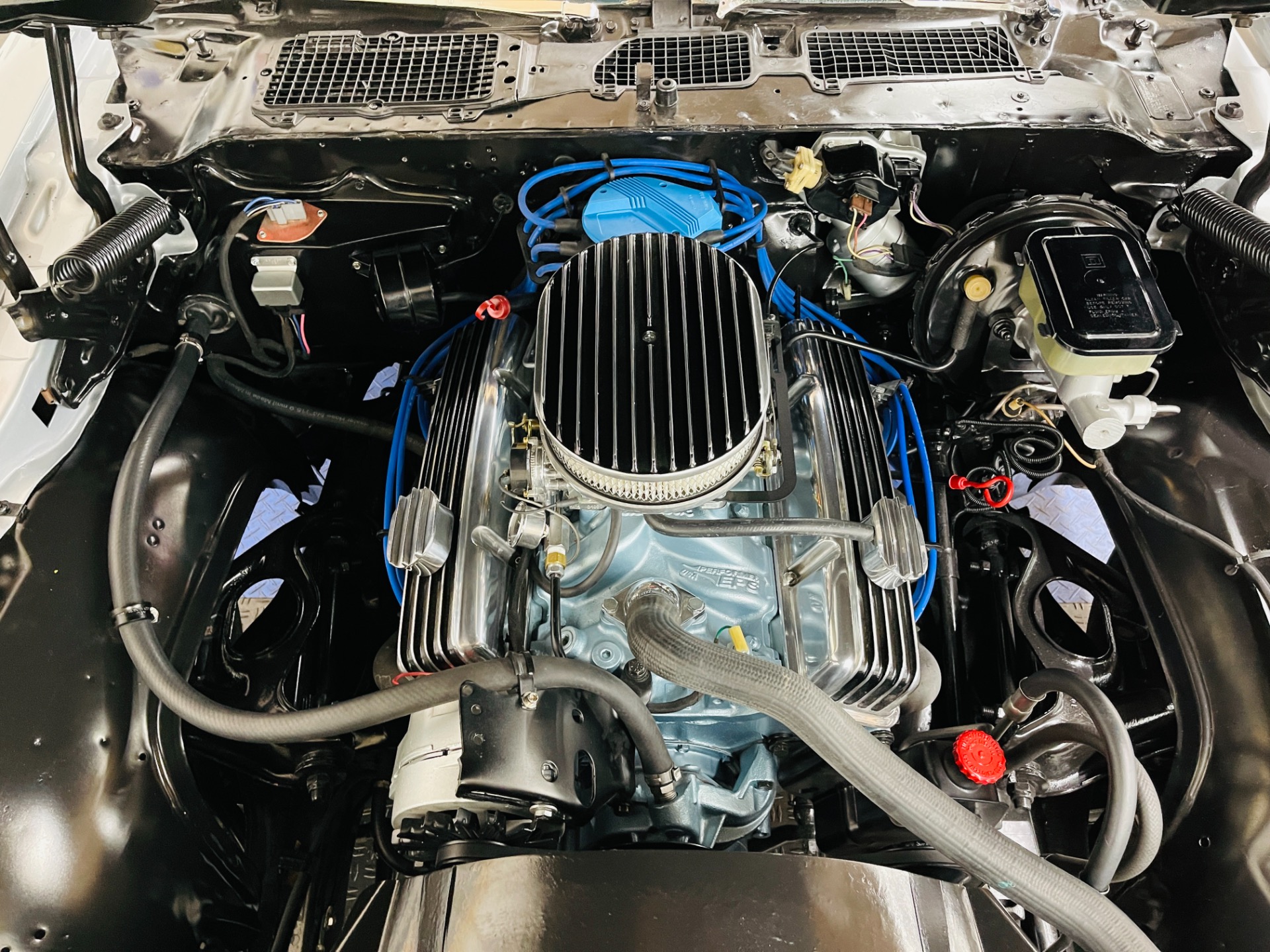 Used 1981 Pontiac Firebird - CLEAN BODY - RECENT PAINT - SEE VIDEO - | St. Petersburg, FL