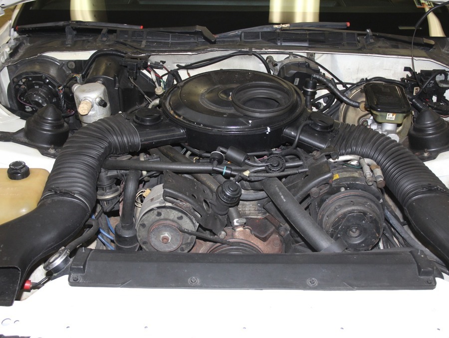 Used 1984 Pontiac Trans Am 15th Anniversary - Special Edition - | Mundelein, IL