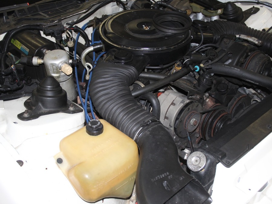 Used 1984 Pontiac Trans Am 15th Anniversary - Special Edition - | Mundelein, IL