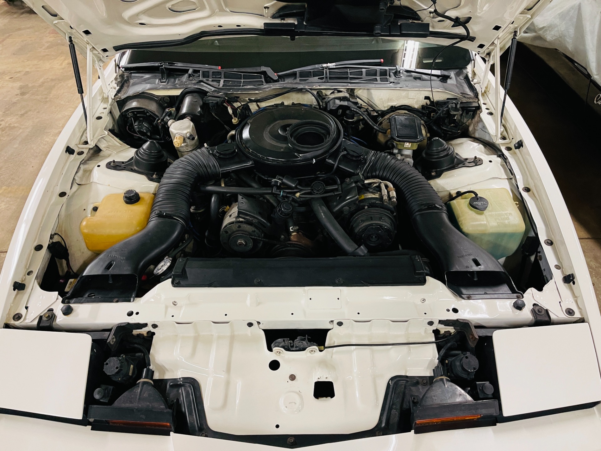 Used 1984 Pontiac Trans Am 15th Anniversary - Special Edition - | Mundelein, IL