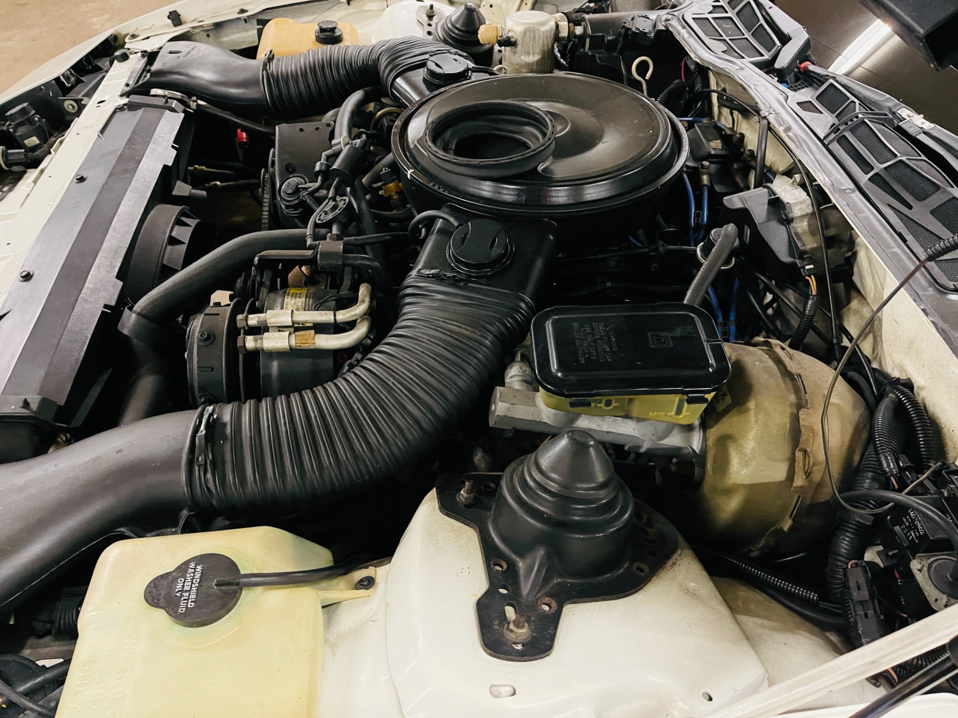 Used 1984 Pontiac Trans Am 15th Anniversary - Special Edition - | Mundelein, IL