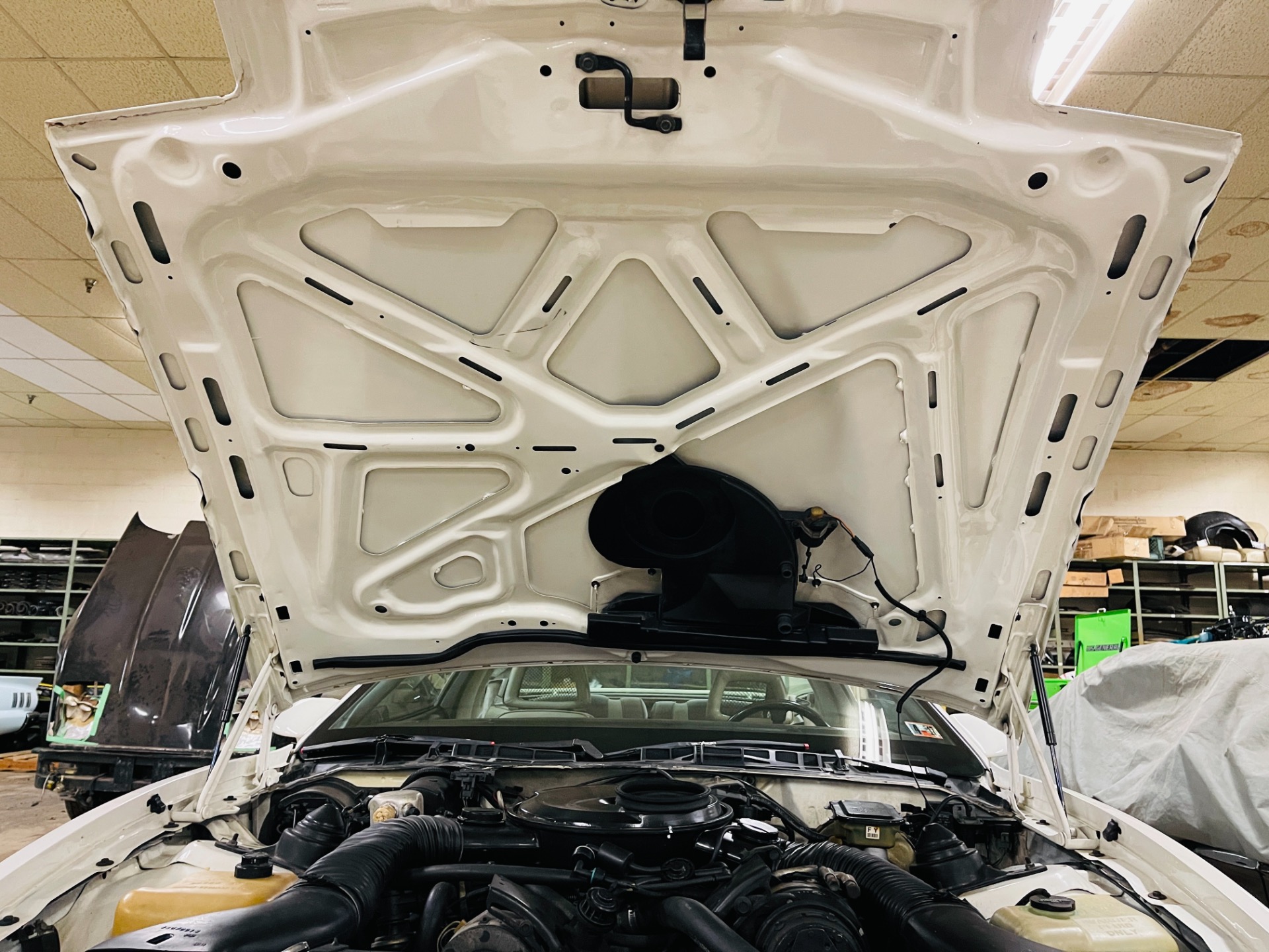 Used 1984 Pontiac Trans Am 15th Anniversary - Special Edition - | Mundelein, IL