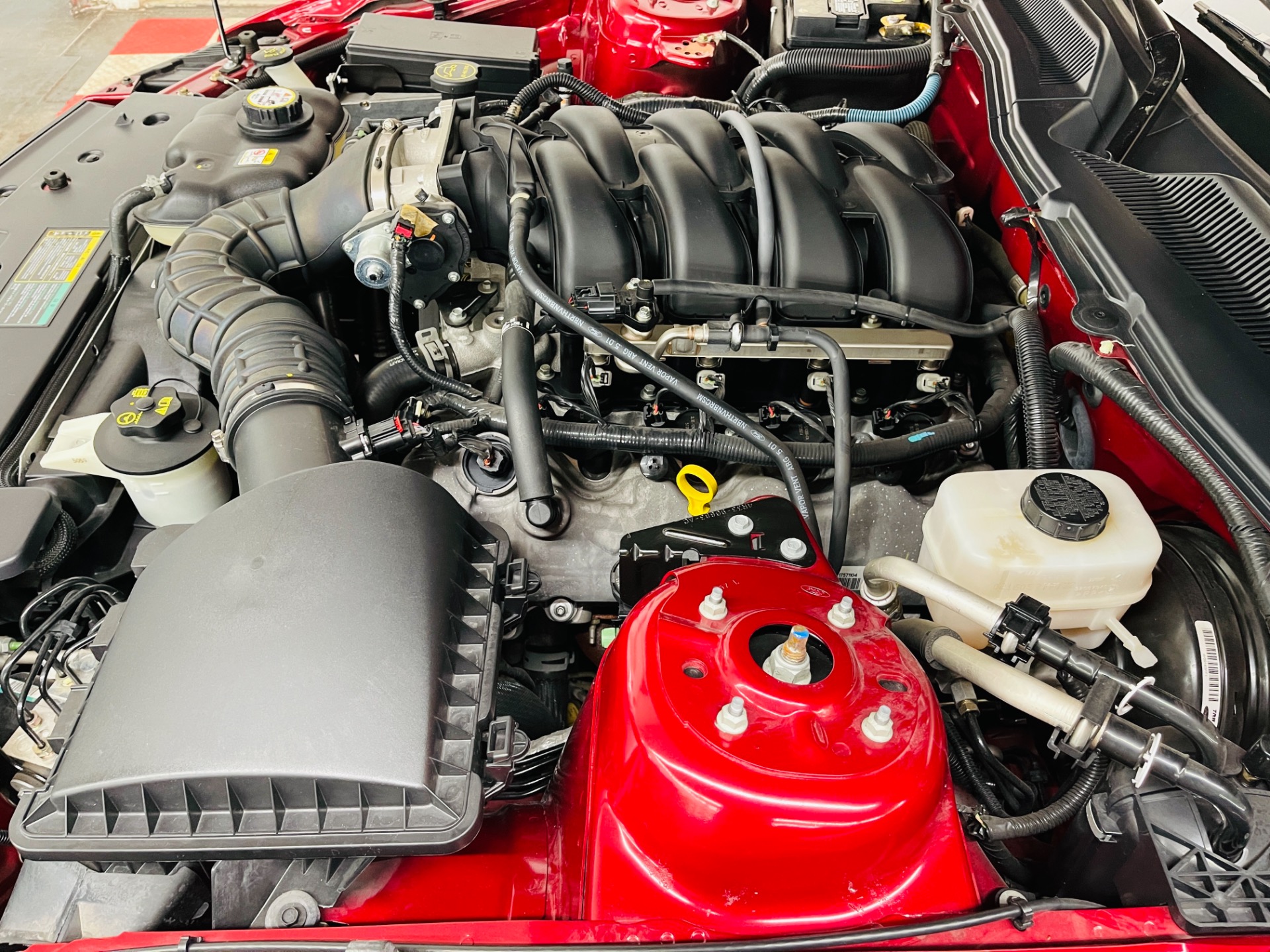 Used 2005 Ford Mustang - GT CONVERTIBLE - LIKE NEW CONDITION - 62 ACTUAL MILES - SEE VIDEO - | Mundelein, IL