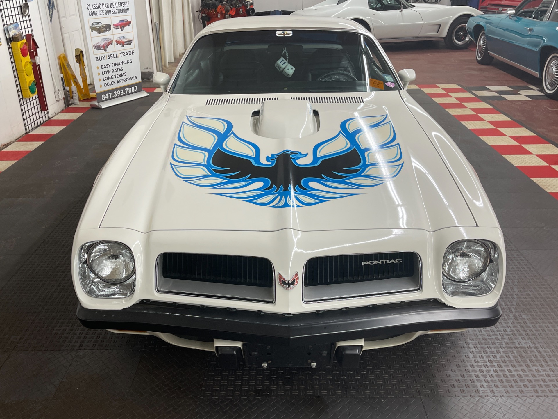 Used 1974 Pontiac Firebird - TRANS AM - Y CODE 455 - 9,013 ACTUAL MILES - SEE VIDEO - | St. Petersburg, FL
