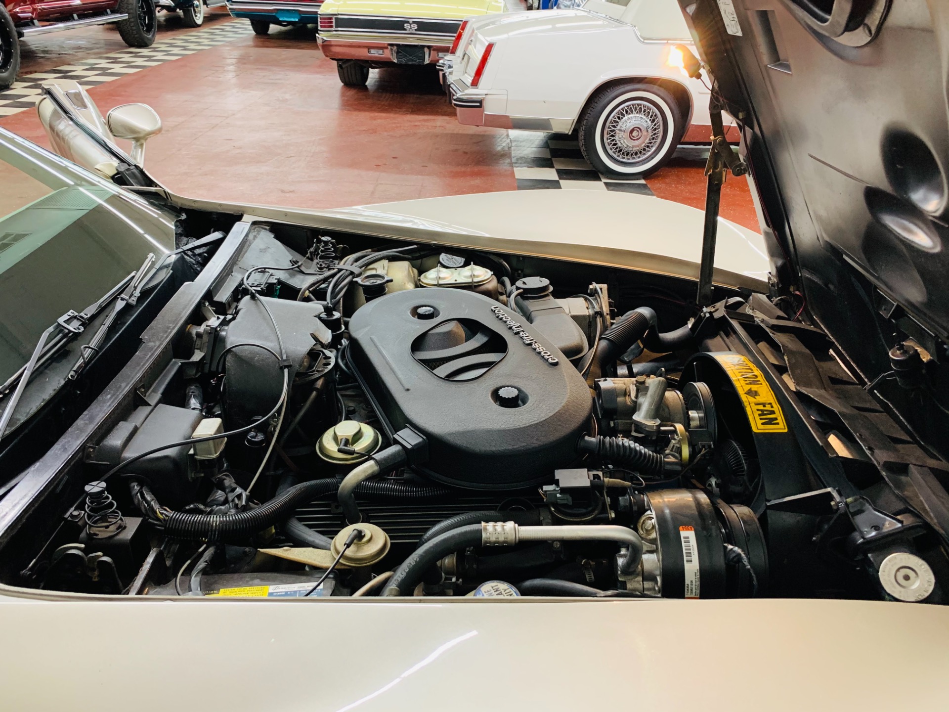 Used 1982 Chevrolet Corvette - COLLECTORS EDITION - VERY CLEAN - LOW MILES - | St. Petersburg, FL