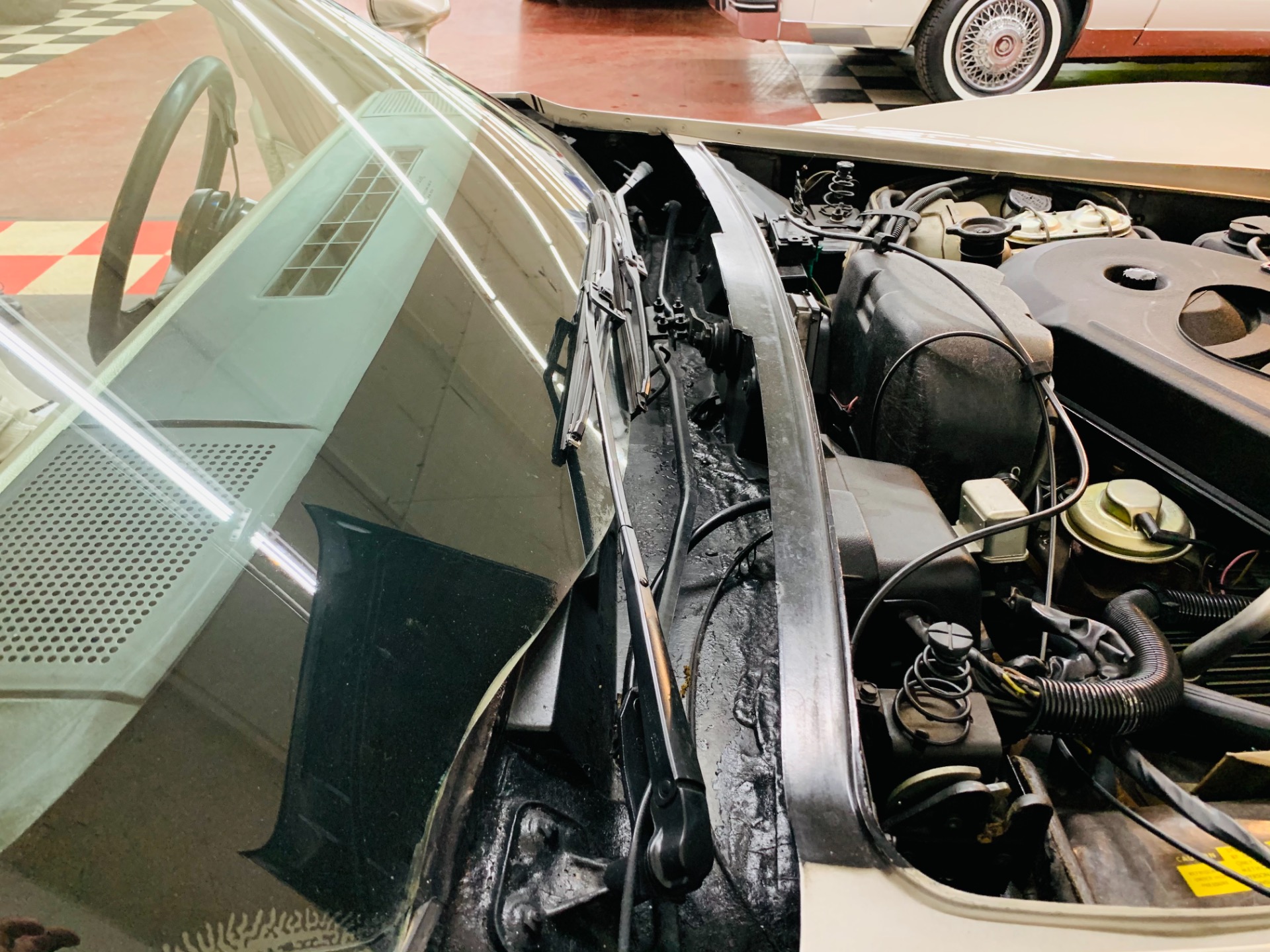 Used 1982 Chevrolet Corvette - COLLECTORS EDITION - VERY CLEAN - LOW MILES - | St. Petersburg, FL
