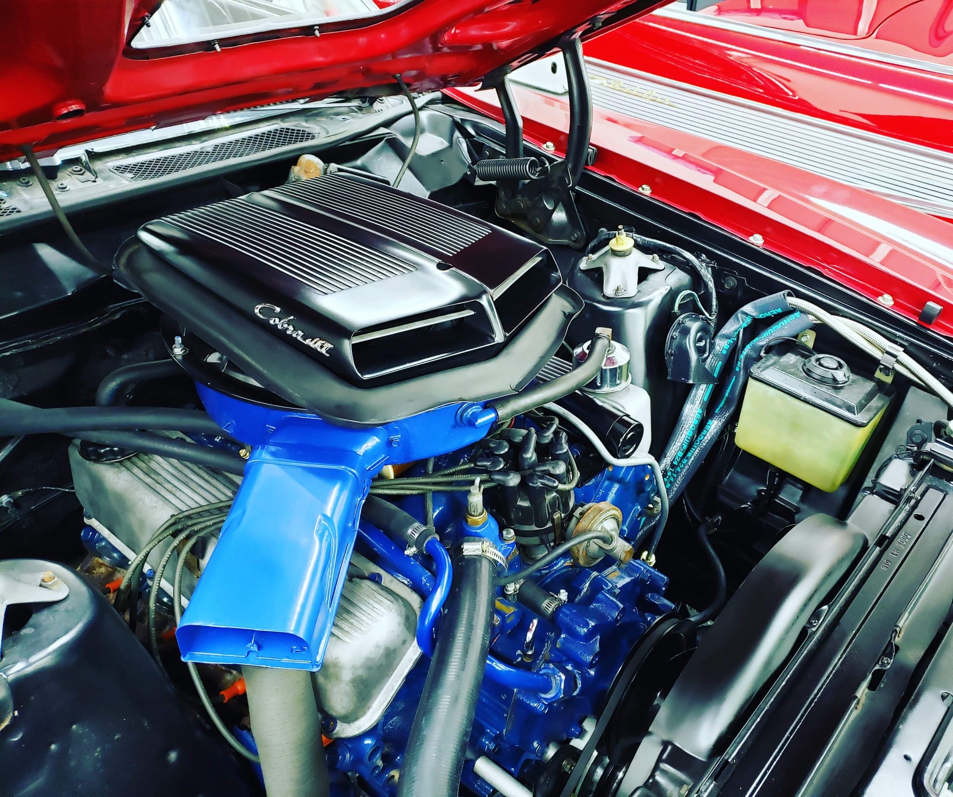 Used 1970 Ford Torino SCJ Drag Pack Cobra | St. Petersburg, FL