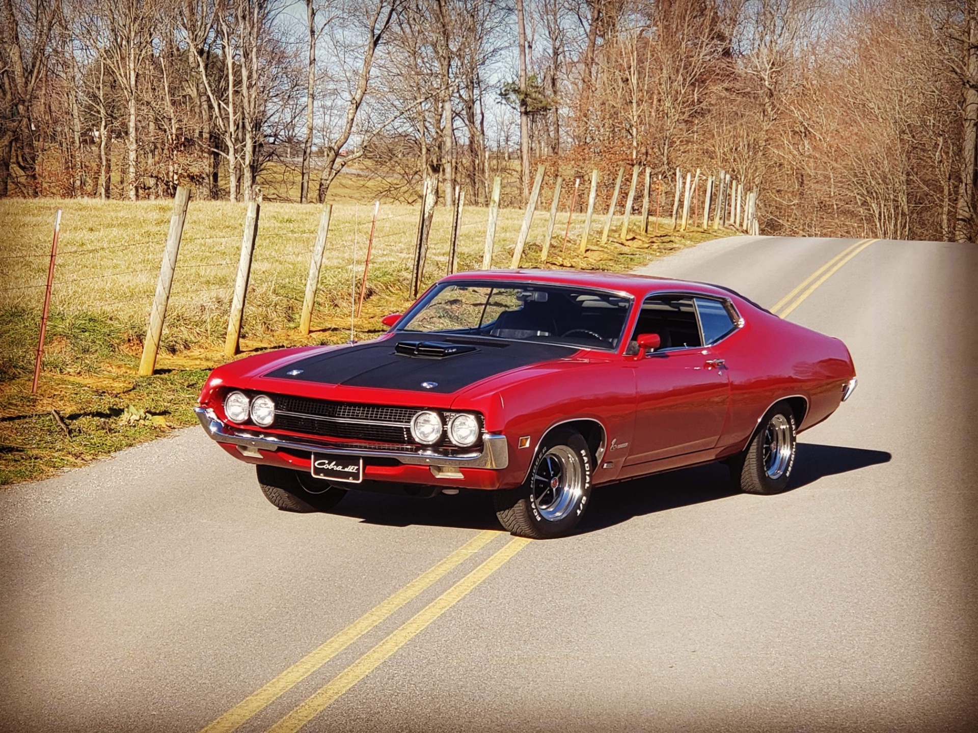 Used 1970 Ford Torino SCJ Drag Pack Cobra | St. Petersburg, FL