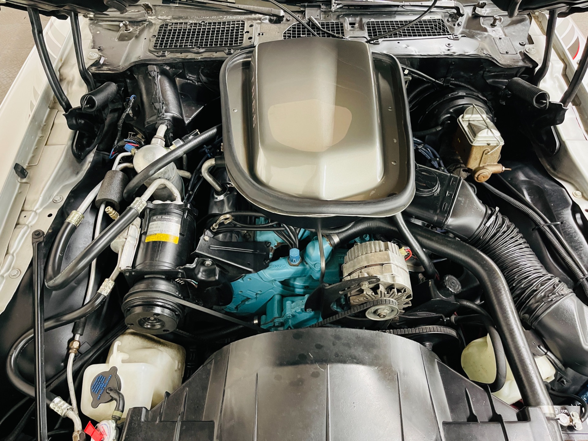 Used 1979 Pontiac Firebird - SILVER 10TH ANNIVERSARY TRANS AM - 4 SPEED MANUAL - SEE VIDEO - | St. Petersburg, FL