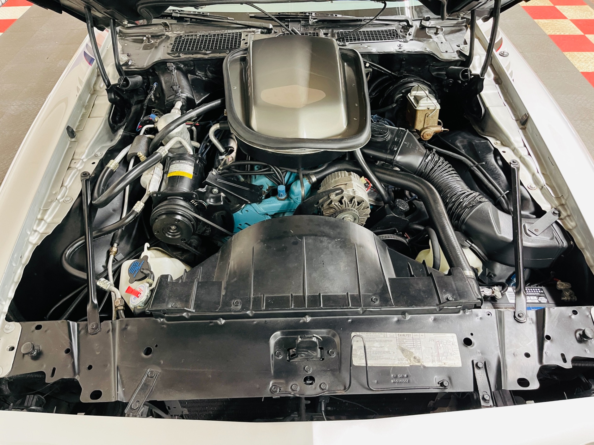 Used 1979 Pontiac Firebird - SILVER 10TH ANNIVERSARY TRANS AM - 4 SPEED MANUAL - SEE VIDEO - | St. Petersburg, FL