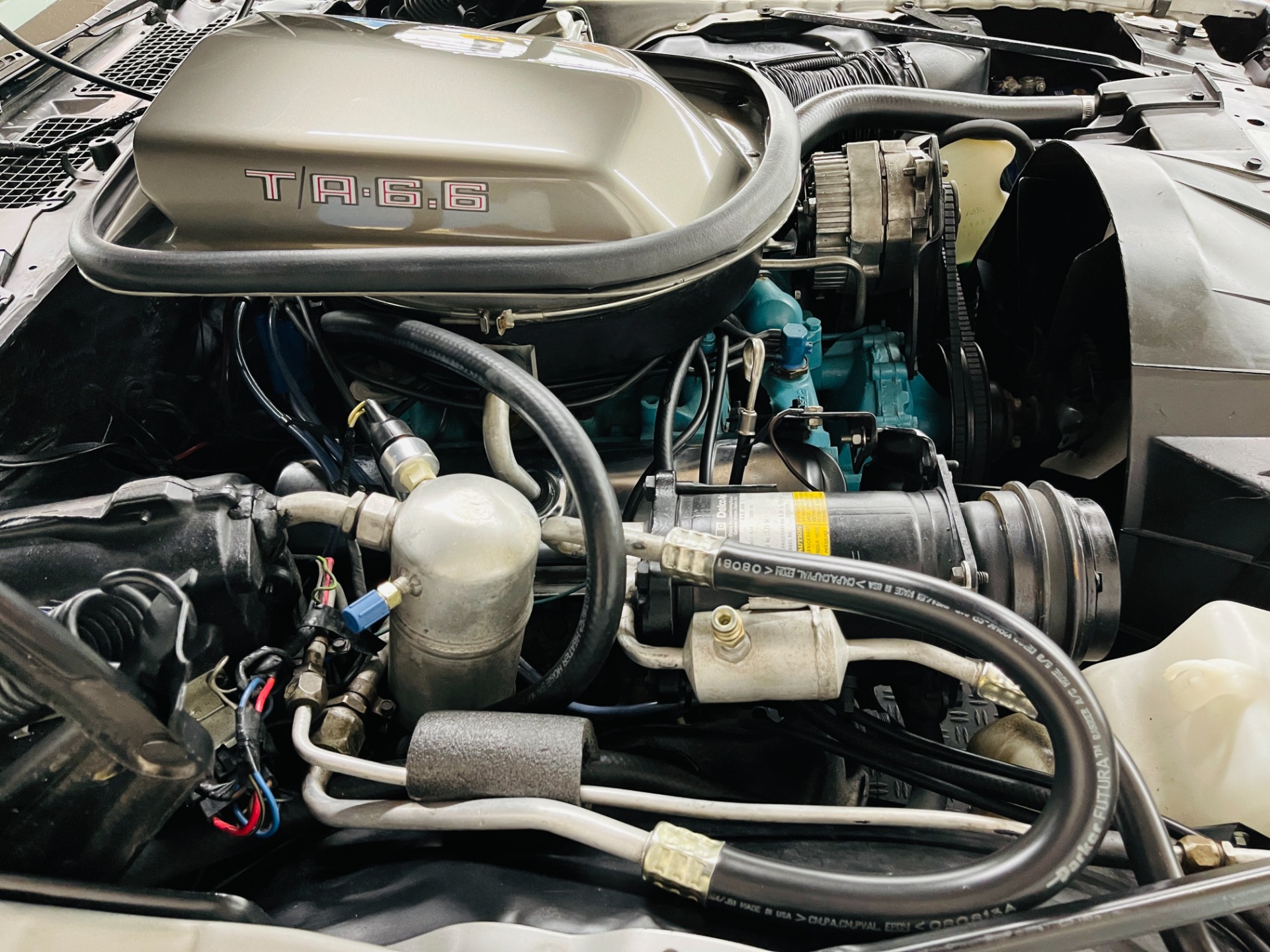 Used 1979 Pontiac Firebird - SILVER 10TH ANNIVERSARY TRANS AM - 4 SPEED MANUAL - SEE VIDEO - | St. Petersburg, FL