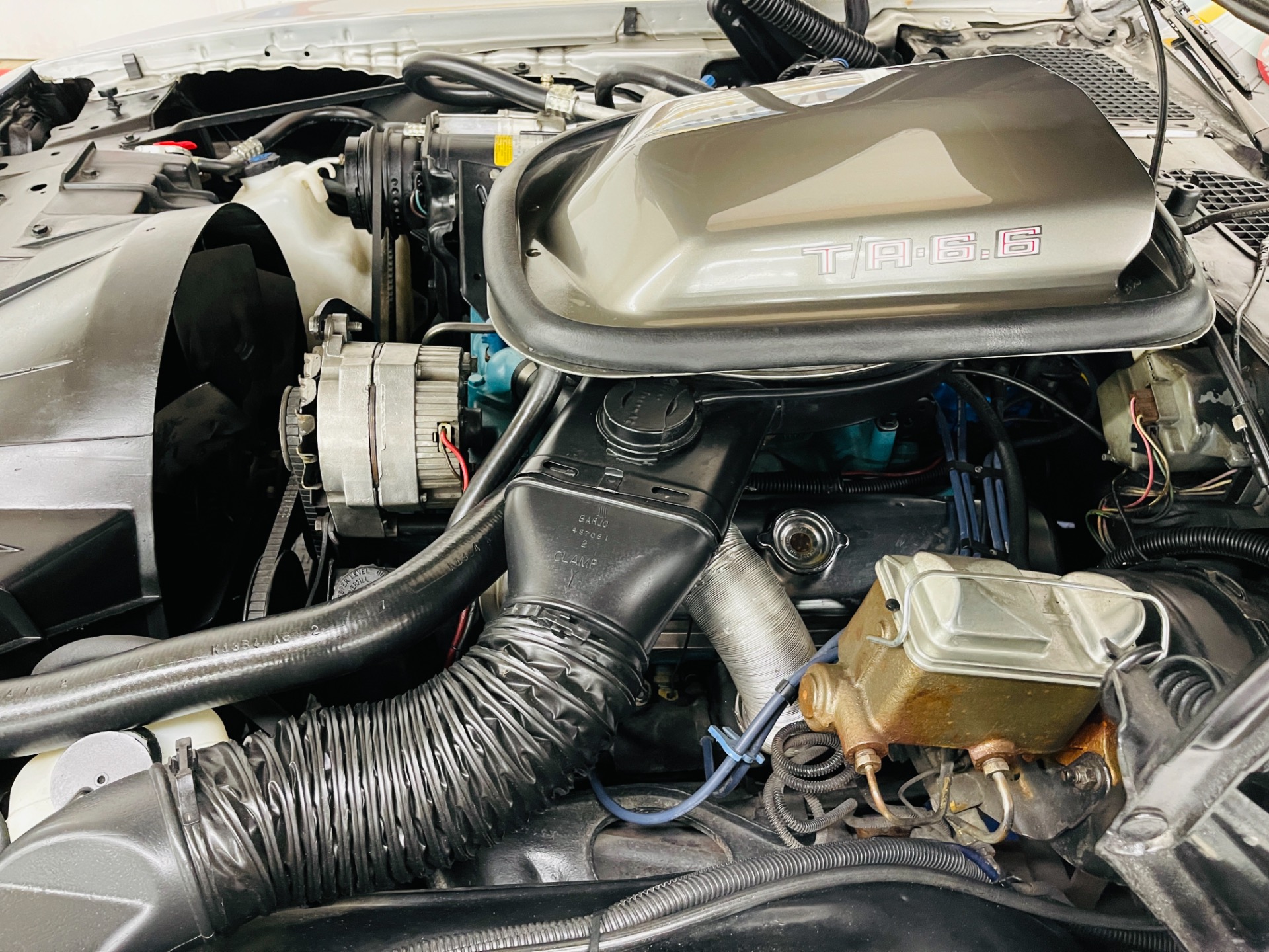 Used 1979 Pontiac Firebird - SILVER 10TH ANNIVERSARY TRANS AM - 4 SPEED MANUAL - SEE VIDEO - | St. Petersburg, FL