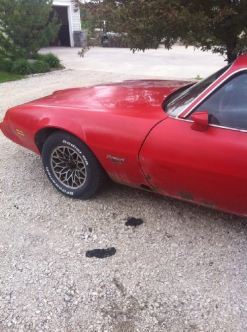 Used 1980 Pontiac Firebird PROJECT CAR-with T TOPS | Mundelein, IL