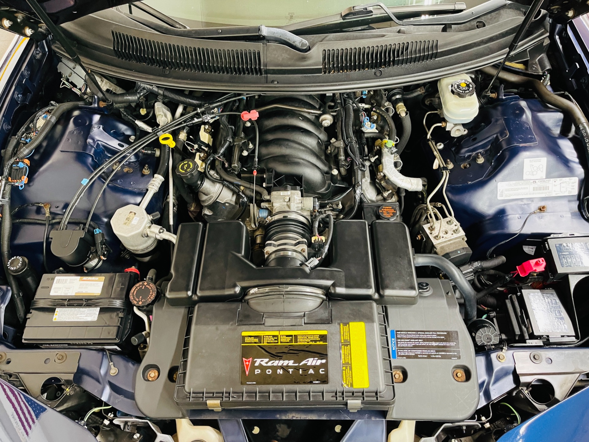 Used 2001 Pontiac Firebird TRANS AM WS6 - SEE VIDEO | St. Petersburg, FL