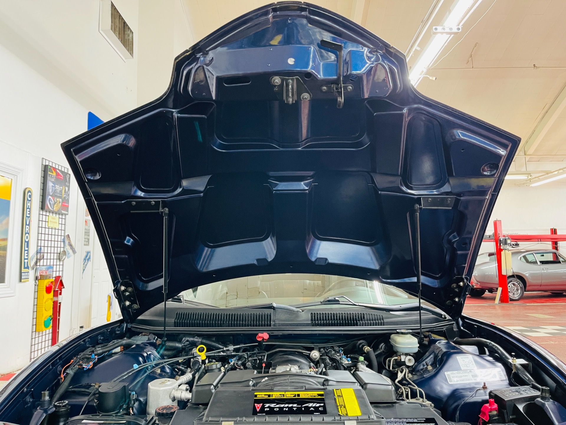 Used 2001 Pontiac Firebird TRANS AM WS6 - SEE VIDEO | St. Petersburg, FL